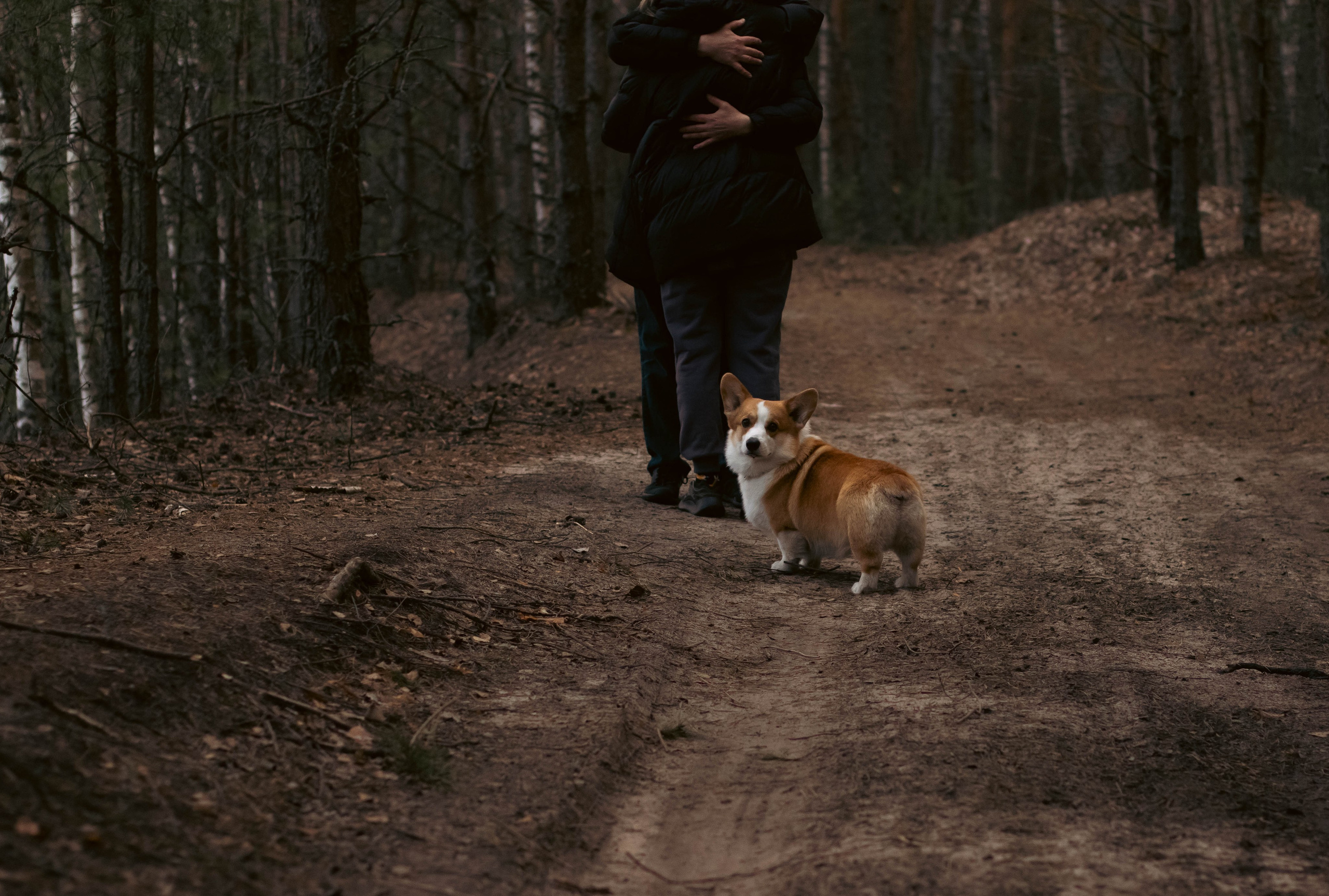 Деймик. Фотограф в Москве Ксюшенька