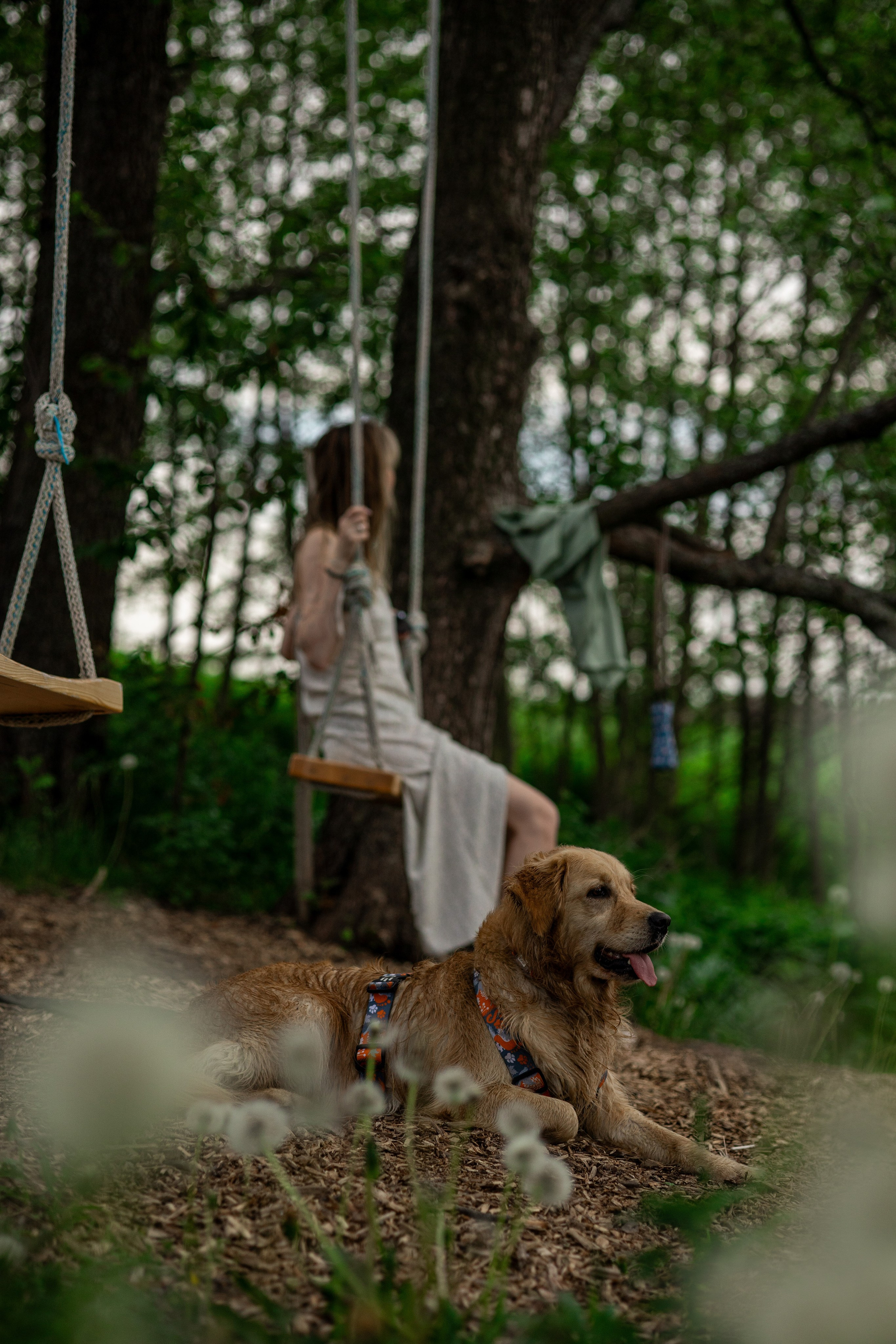 Съемка с собакой. Анастасия Белаш