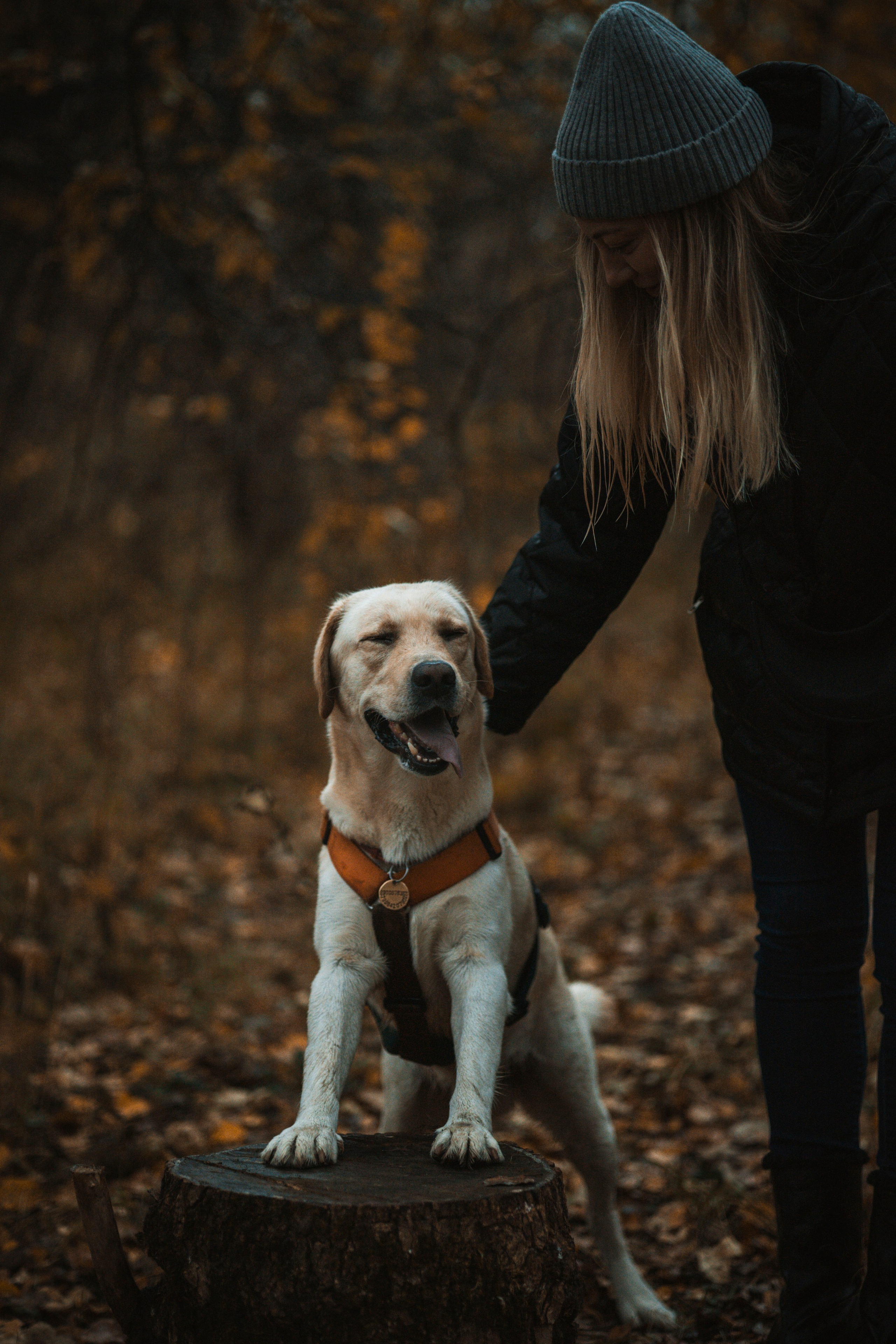 Съемка с собакой. Анастасия Белаш
