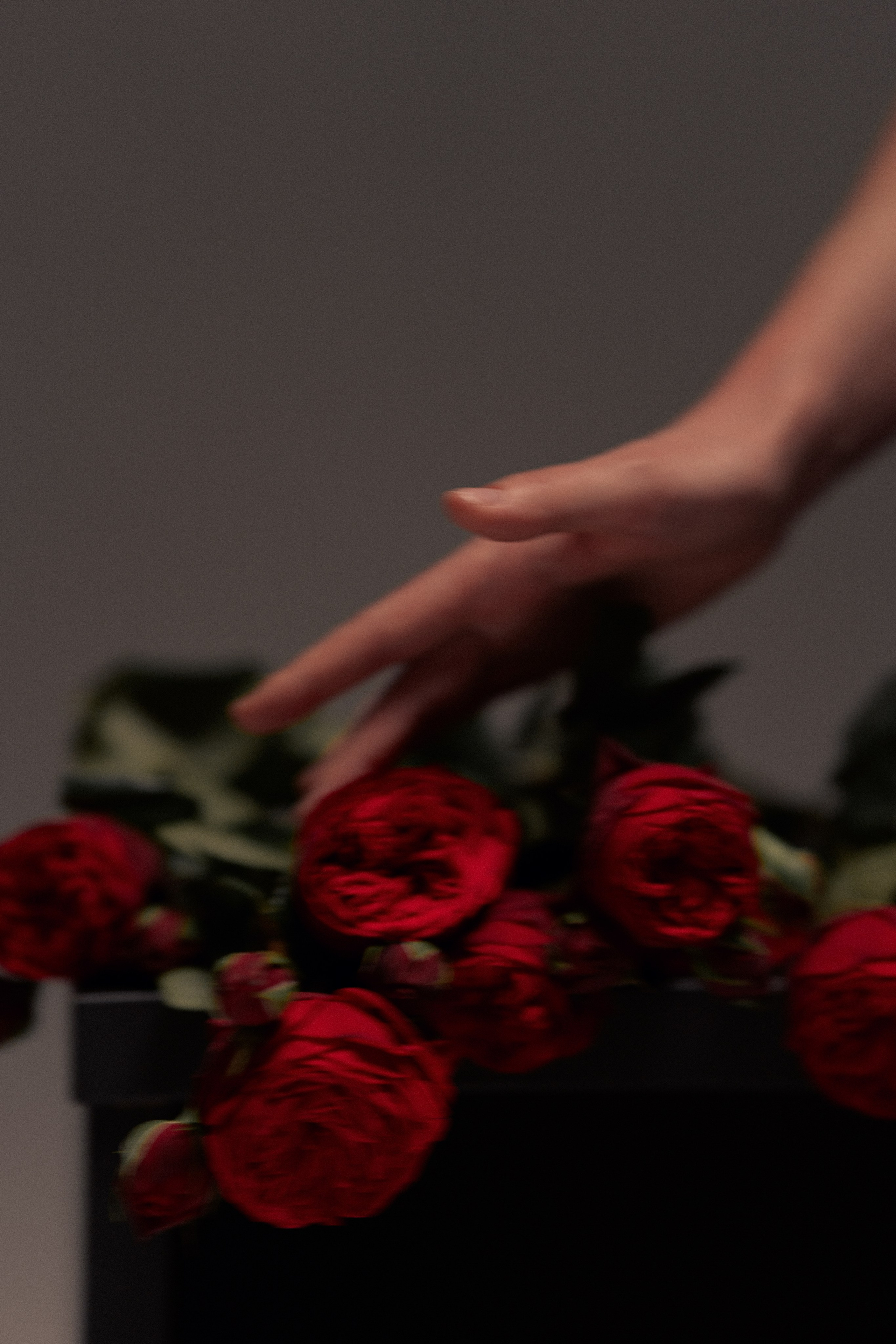 ◦ Алина ◦. Главная