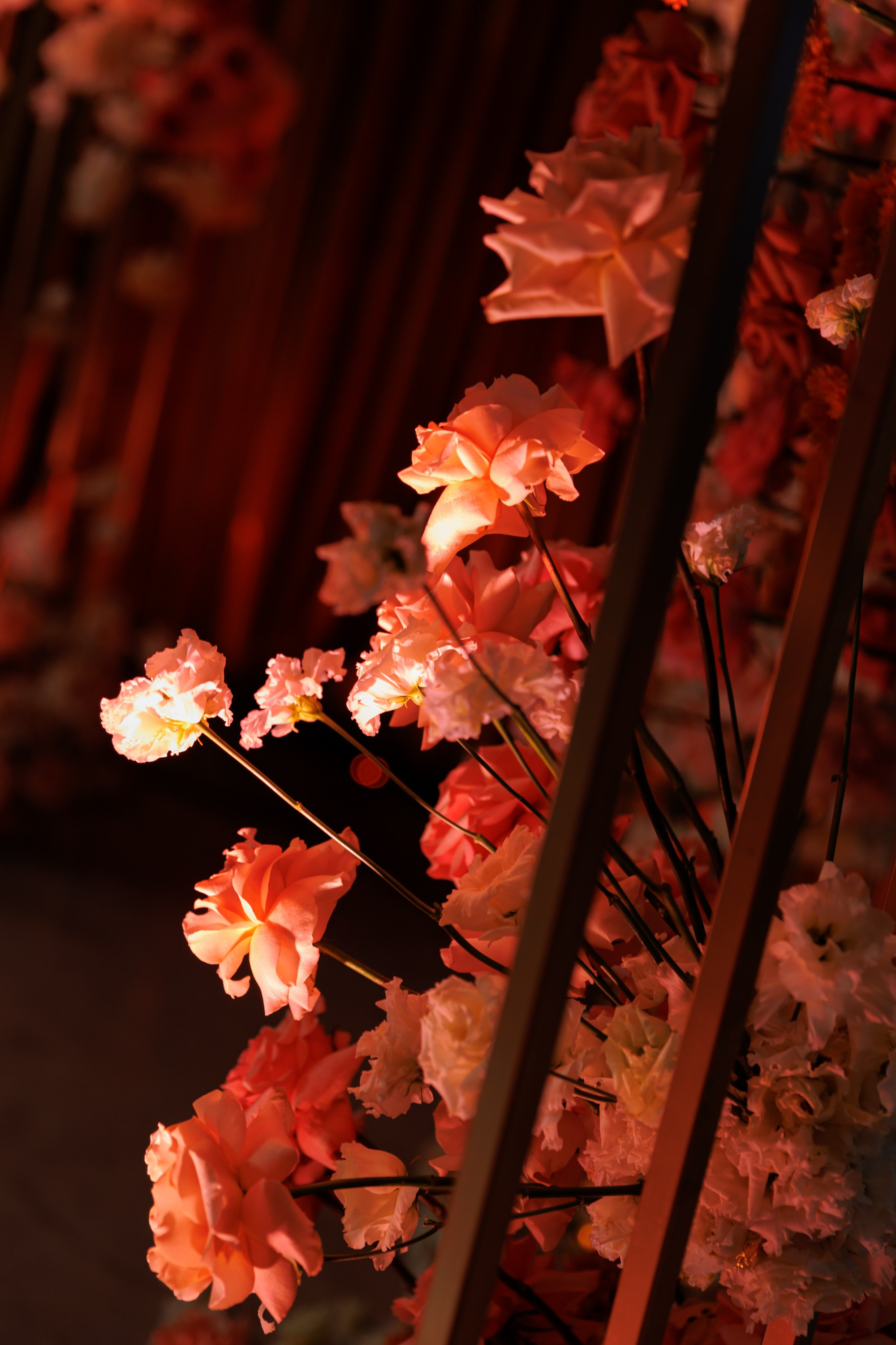 Decor. Фотограф| Санкт-Петербург| Виктория Хайдарова