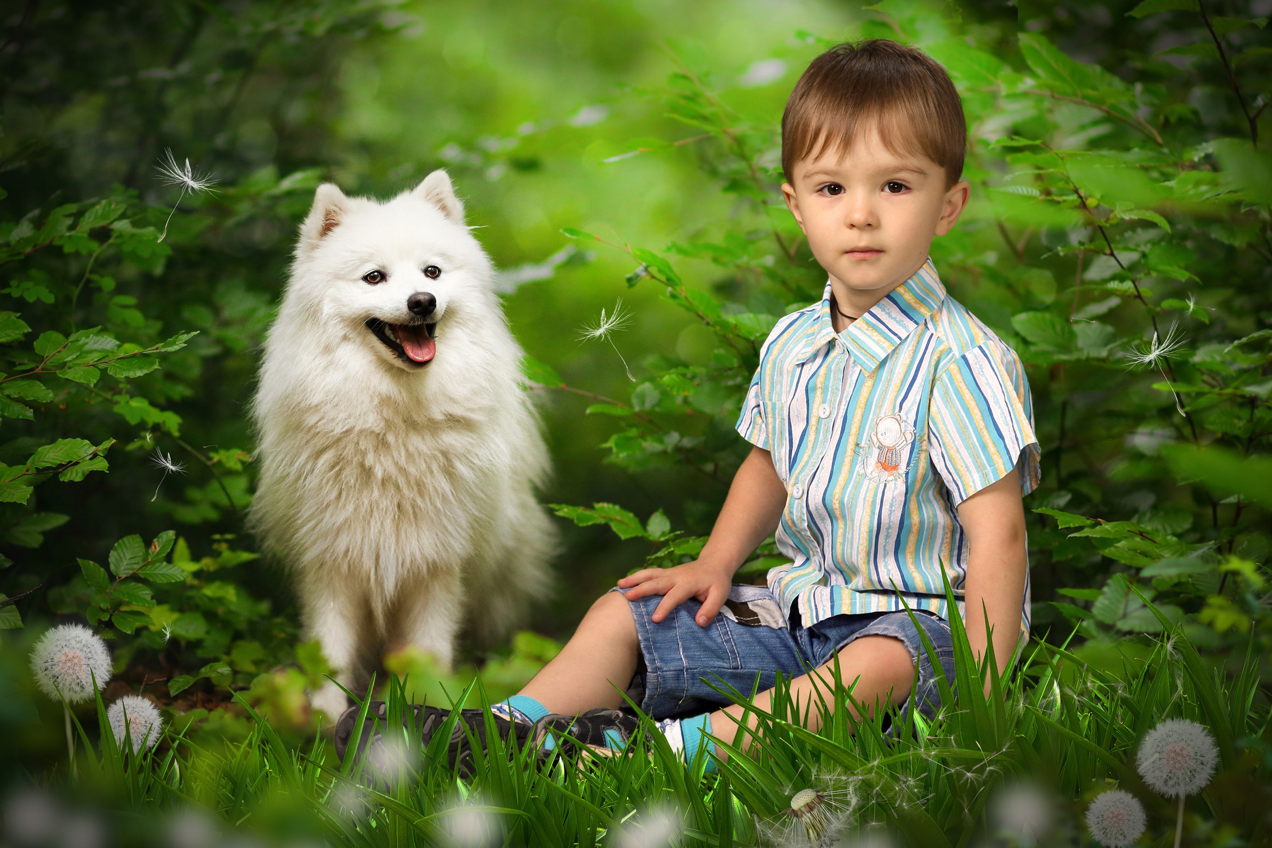 Лето. Выпускные фотокниги, фотосъемка, видеосъемка в Челябинске и области