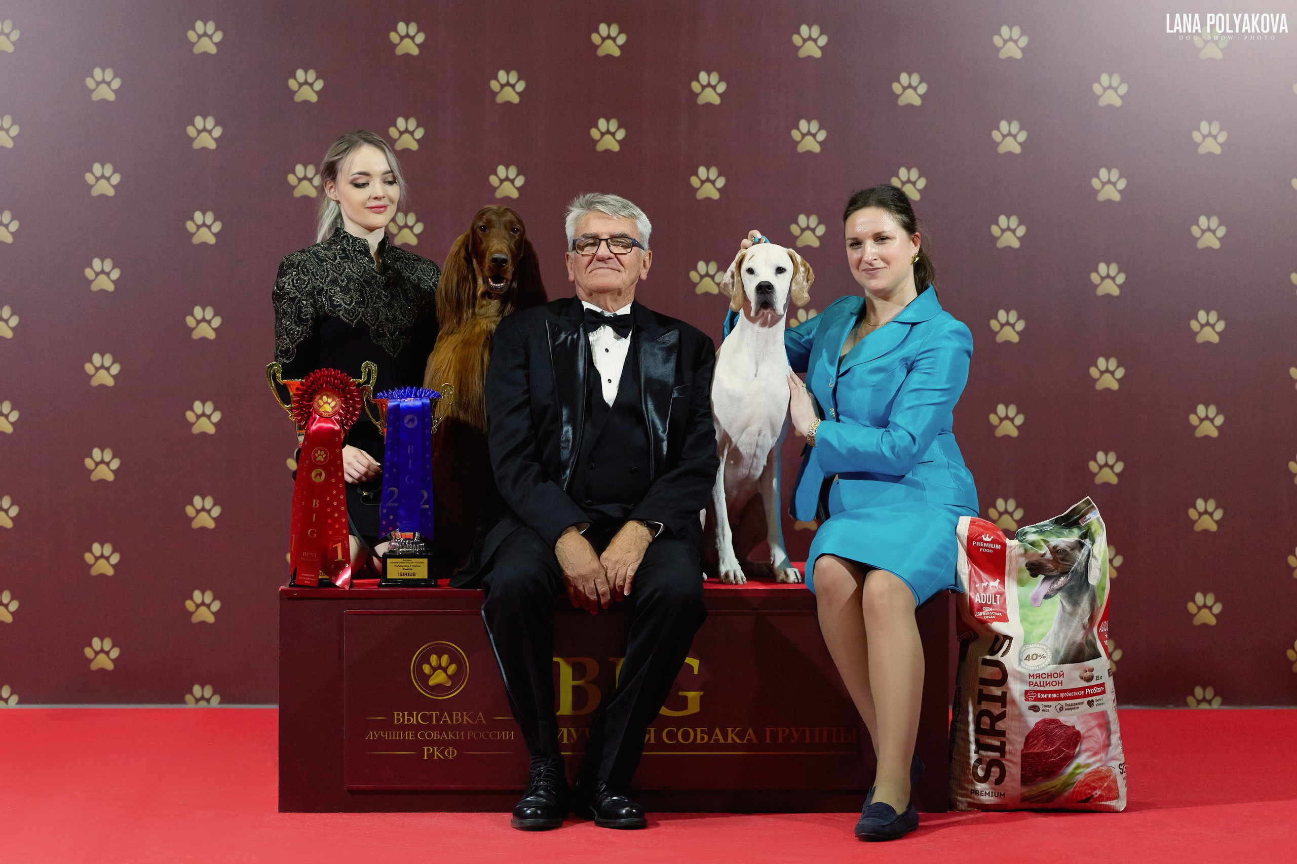 Готов логотип для питомника бультерьеров OMSTAR BULL. ФОТОГРАФ-АНИМАЛИСТ l LANA POLYAKOVA