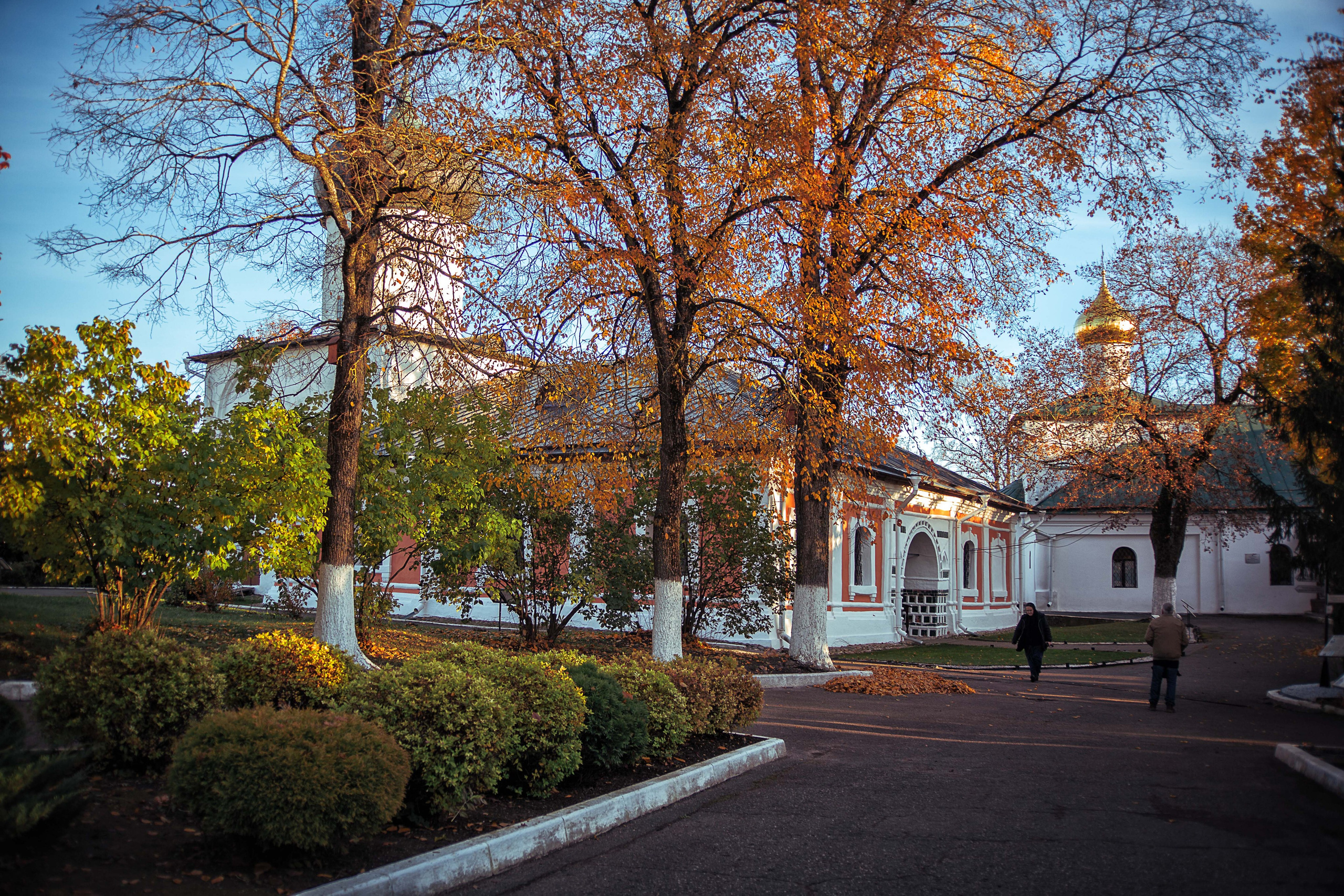 Псков. Семейный и детский фотограф в Москве Ольга Кривенцова