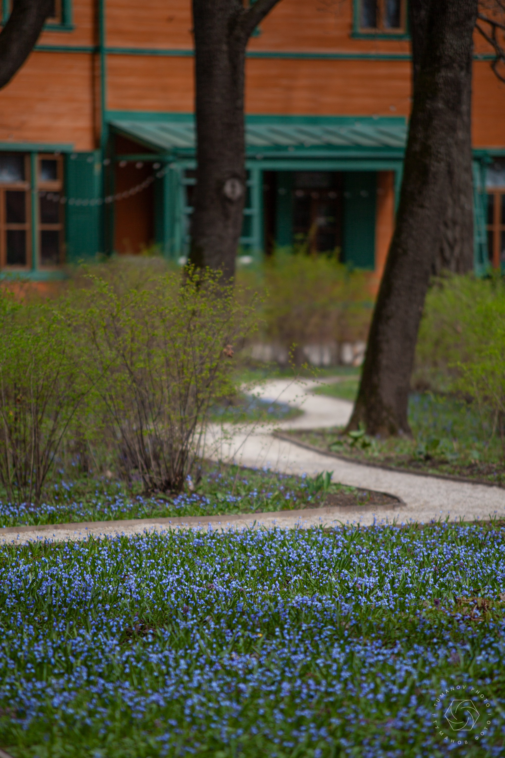 Усадьба Л. Н. Толстого в Хамовниках. Туманов Виталий — фотограф Москва