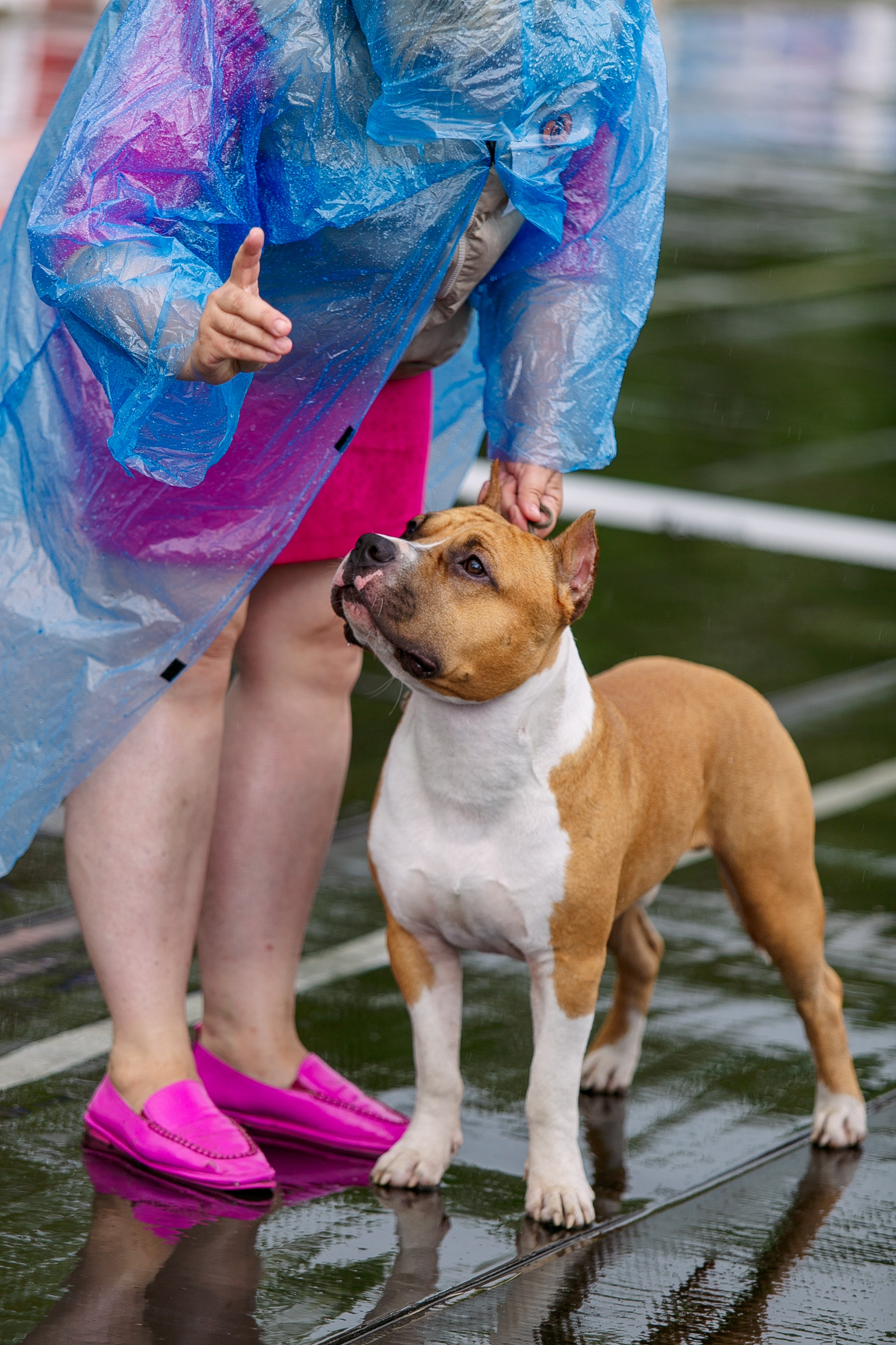 Окунулась вновь в атмосферу выставки…. Школьный фотограф в Туле Светлана Привезенцева