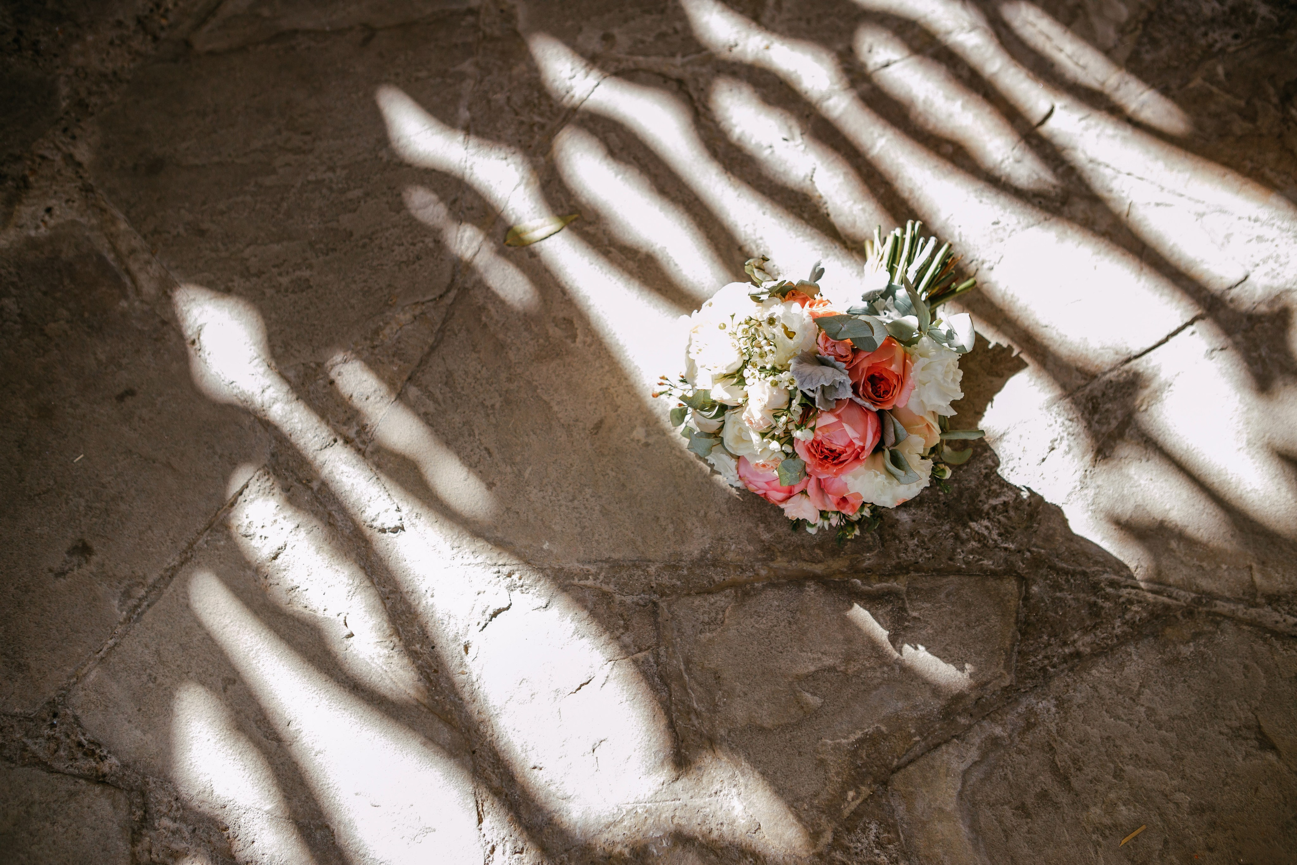 Даниил и Ксения. Фотограф Новороссийск