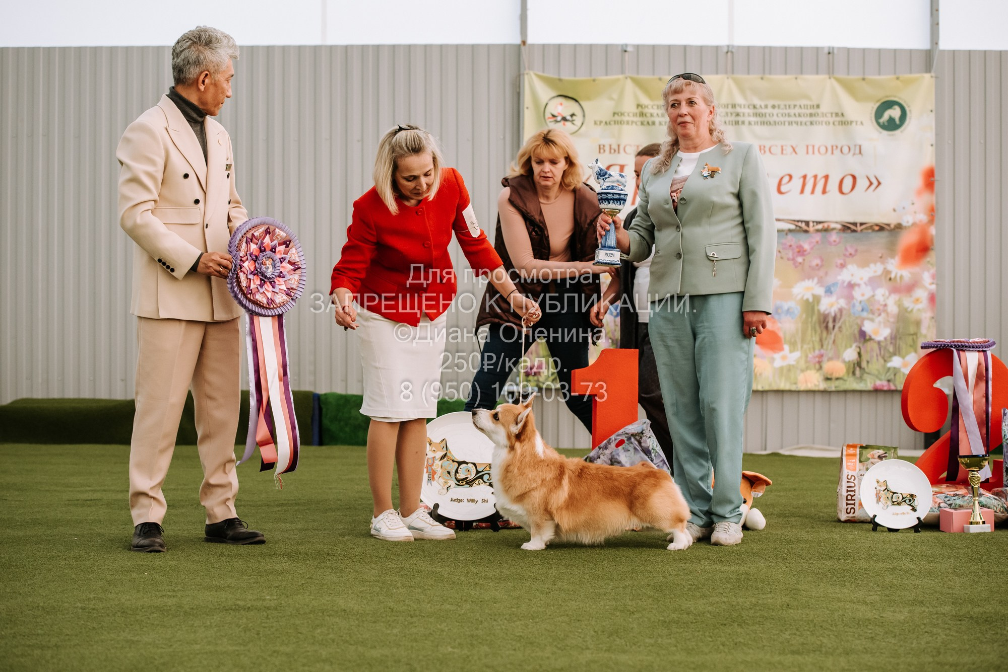 Выставка собак Красноярск 2.06. Фотограф Диана Оленина Красноярск / Братск