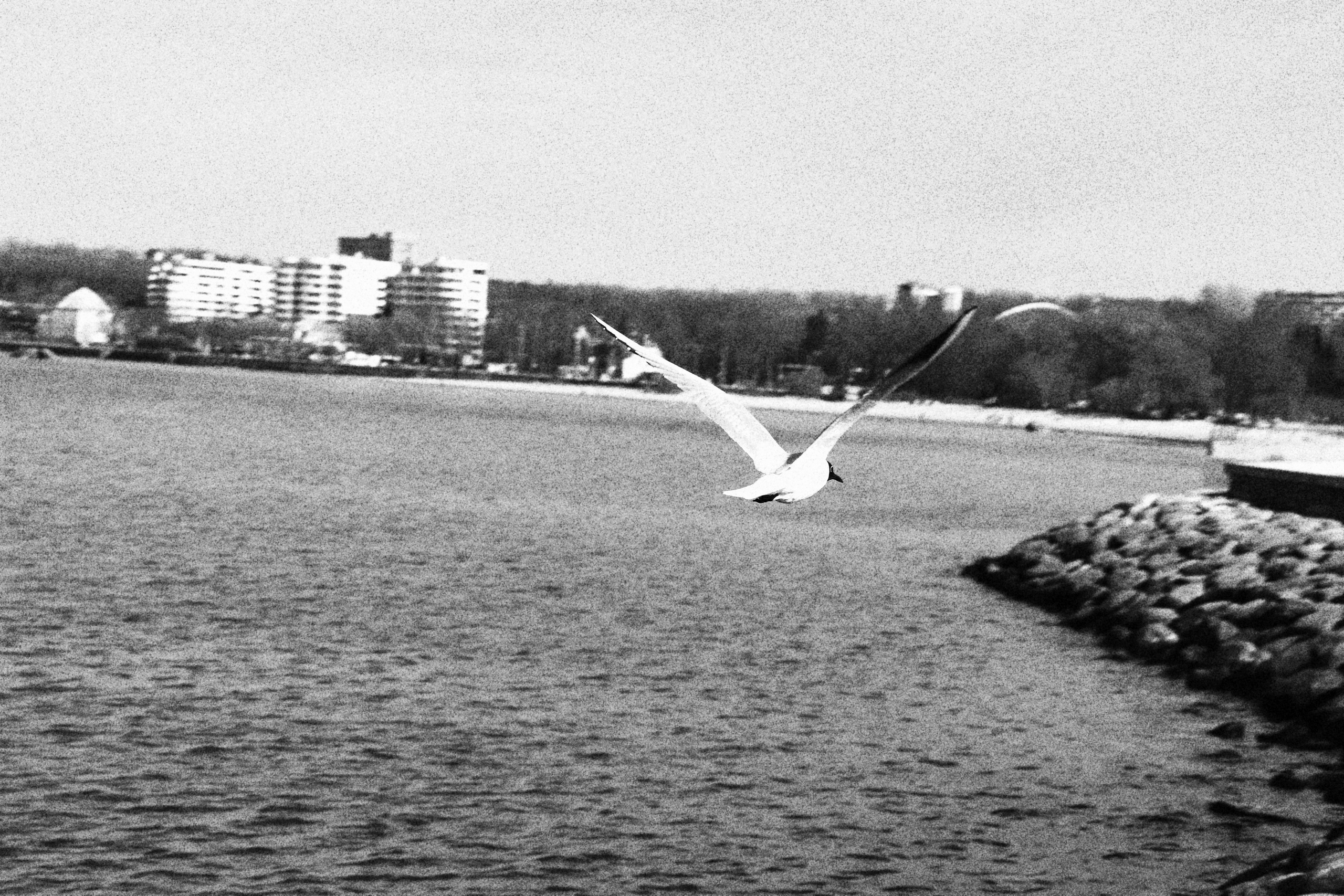 Tallinn. Juliarubis.com