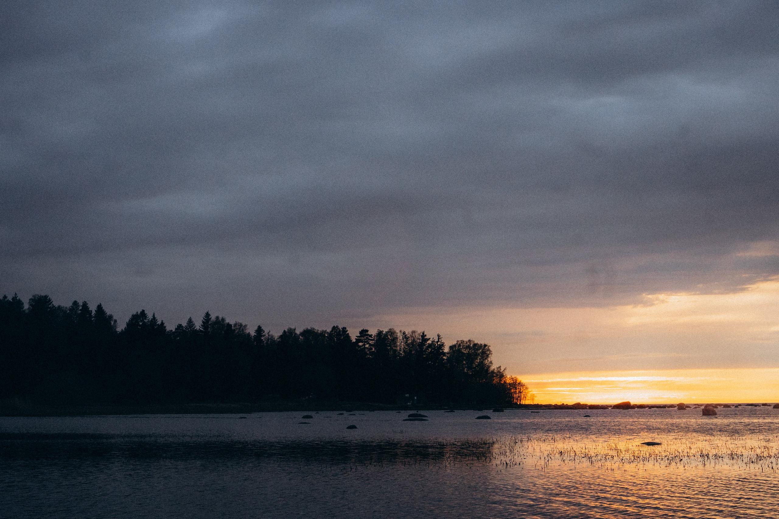 Катя и Берта. Фотограф анималист в Москве и Санкт-Петербурге Свиридова Анна