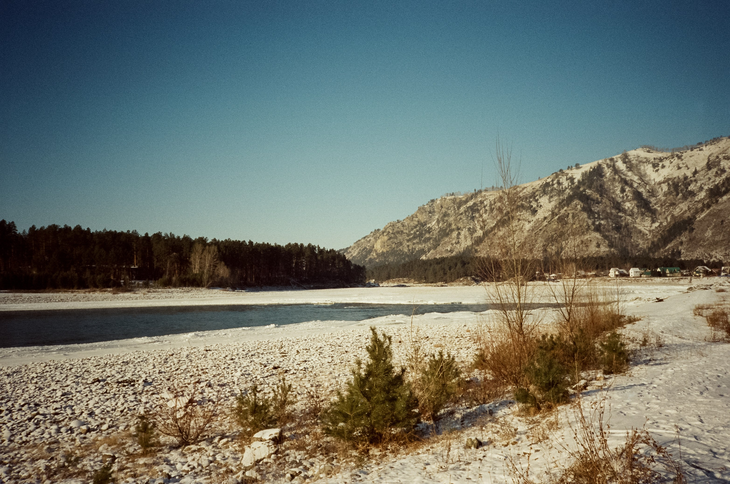 Утро в Манжероке и кафе-автобус Coffee Bus на Чемальском тракте. Фотограф-документалист Мария Осокина