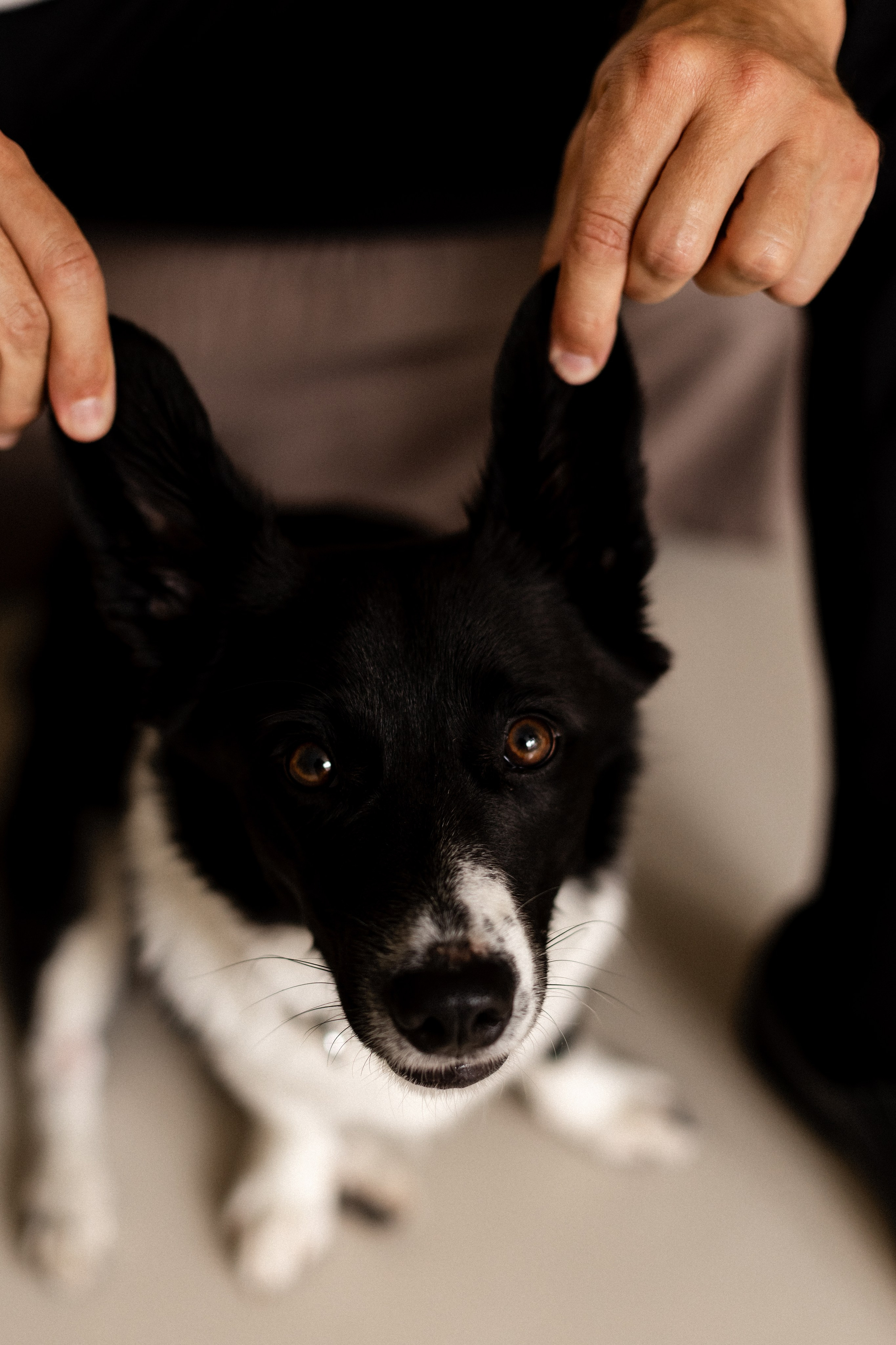 Лимонное настроение. Фотограф в Краснодаре и Краснодарском Крае