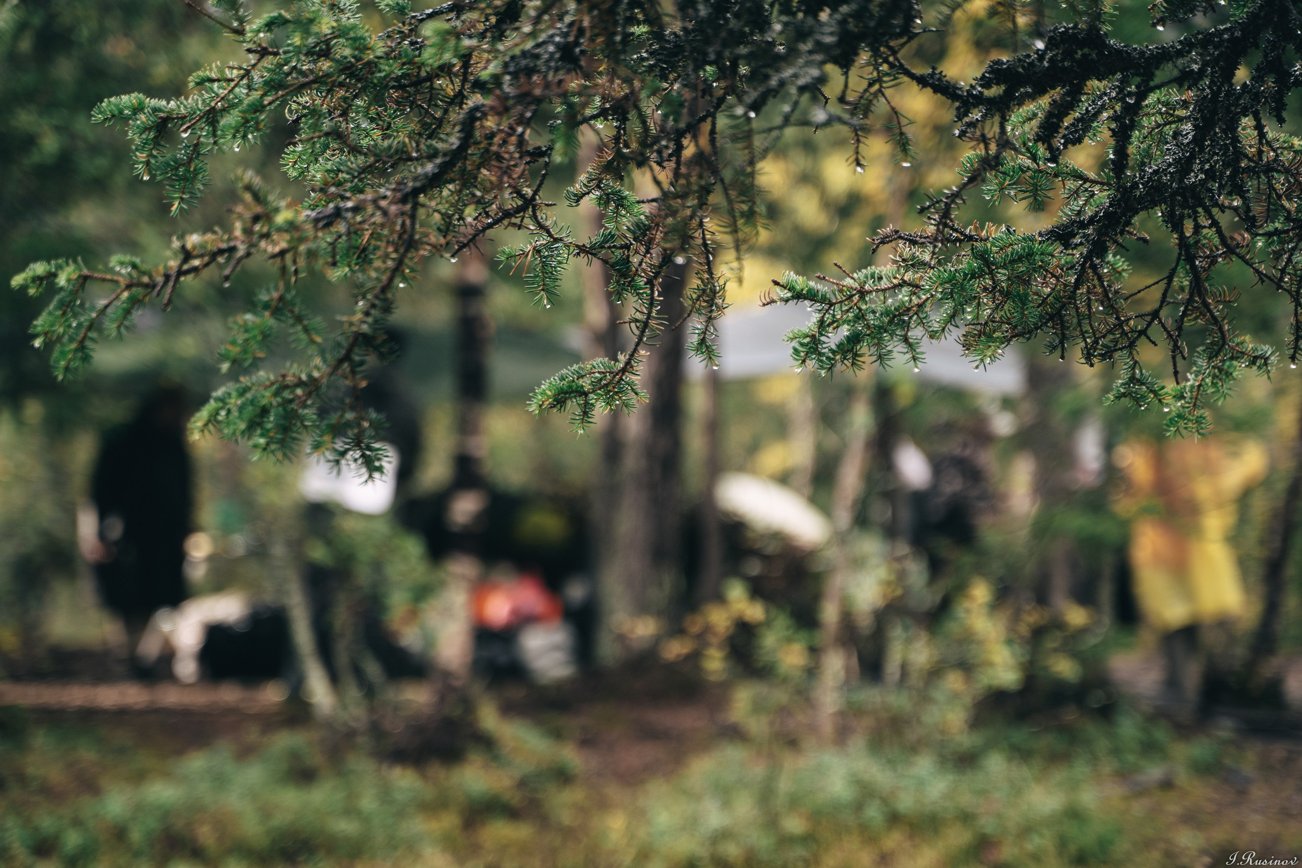 ХИБИНЫ 2021 г. Event фотограф Степанова Александра