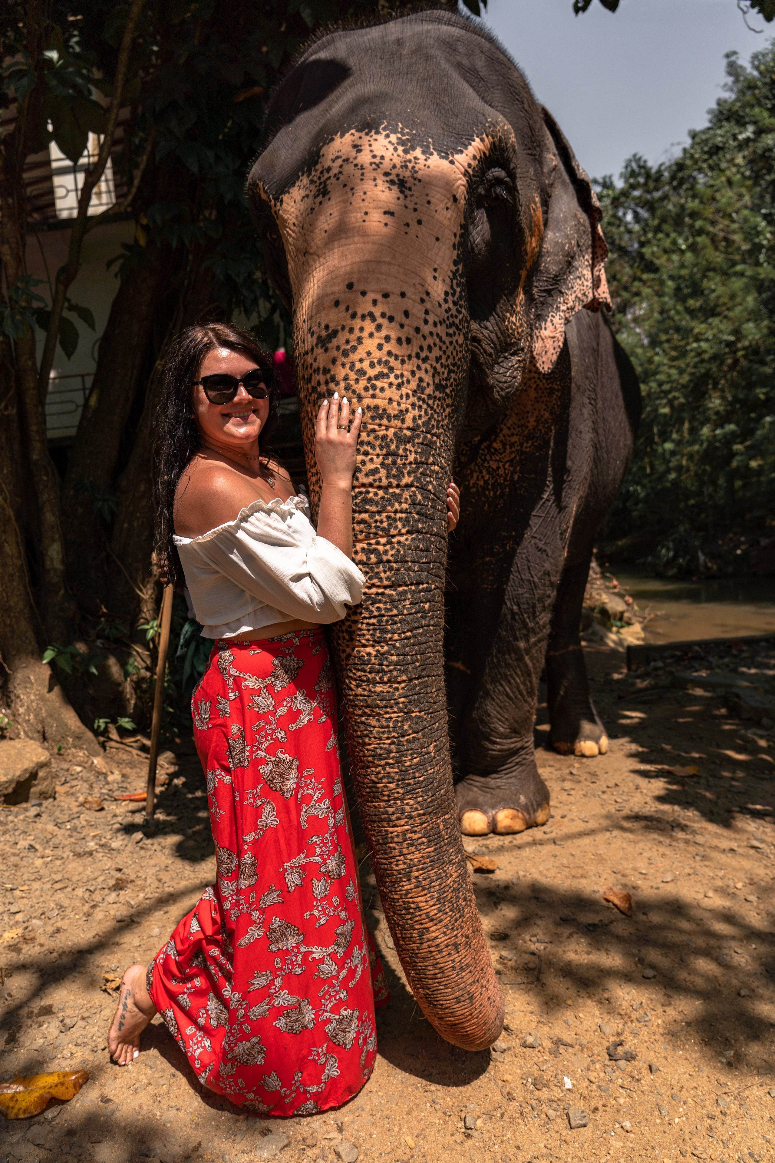 Bathing with elephants in Pinnawala, Botanical Garden
