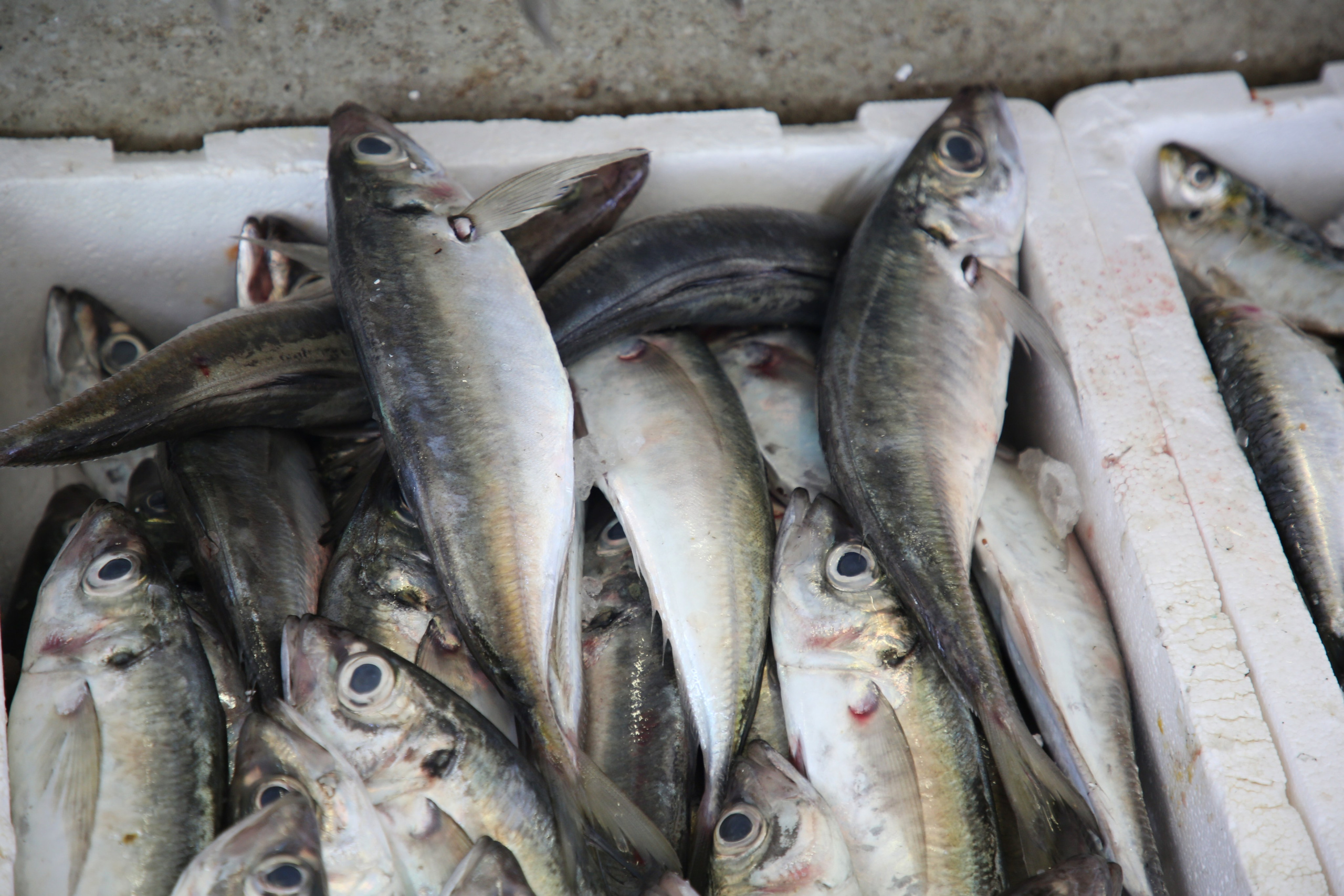 Espihnio, Portugal. Andrey Filippov Photographer