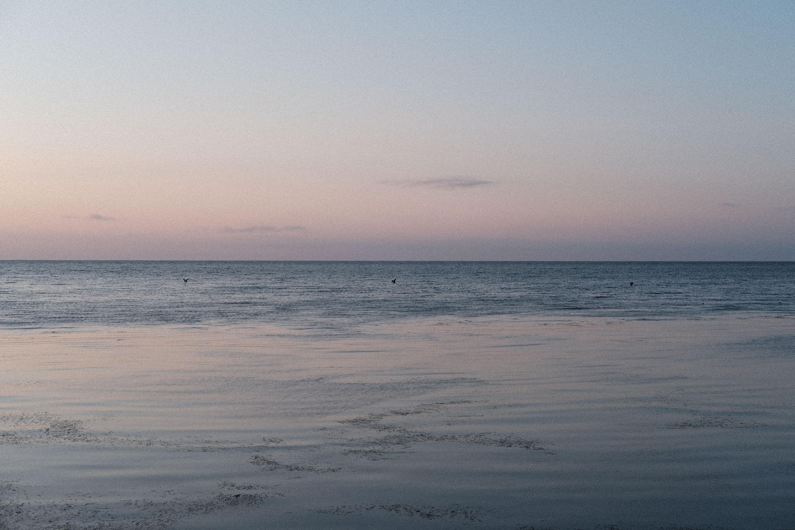 Холмский район, Сахалинская область. FUJIFILM X-S10  f2/35.0 mm 1/160s f/6.4 ISO160 	06.11.2021 - 17:51:09	