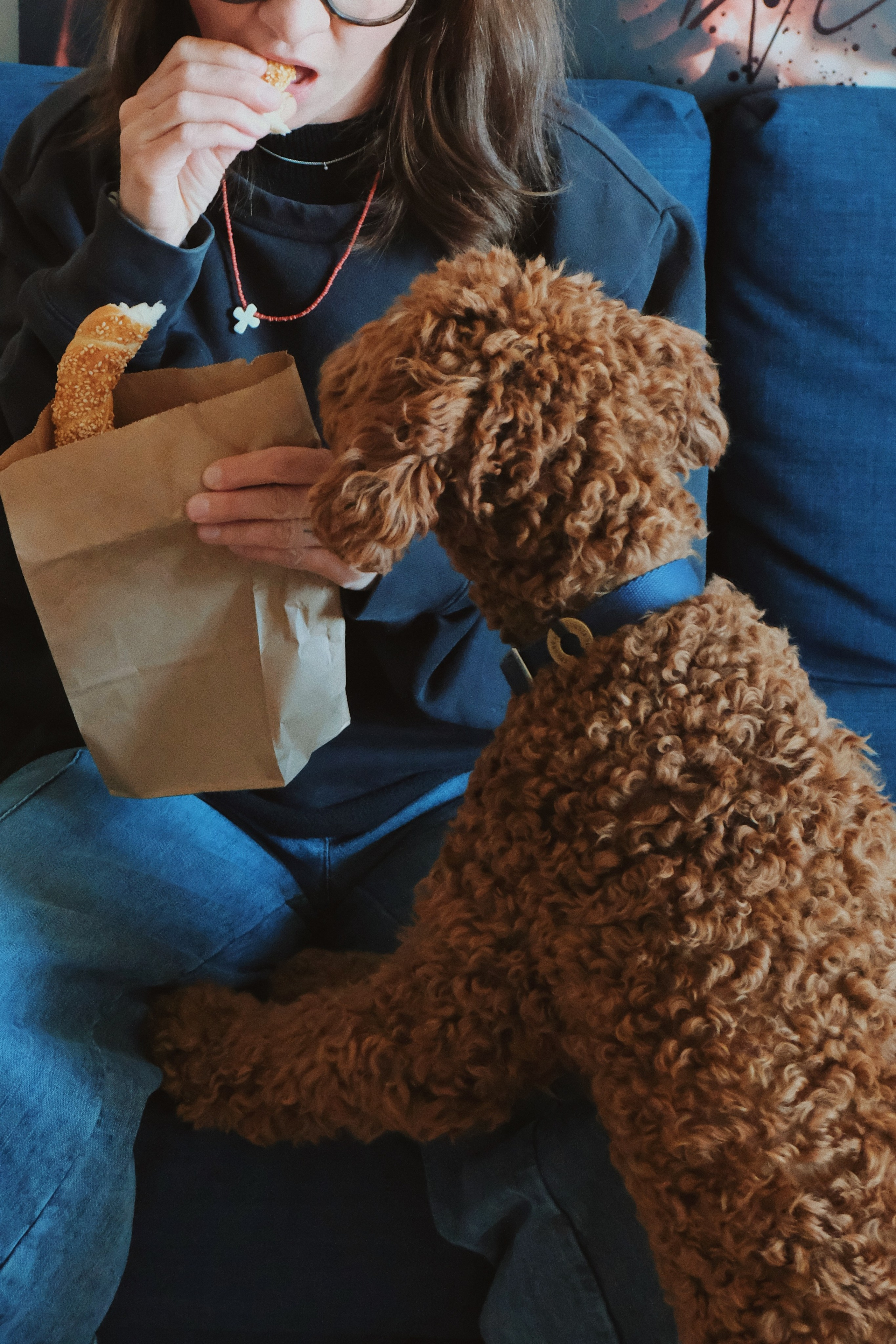 Дома. Татьян гертье