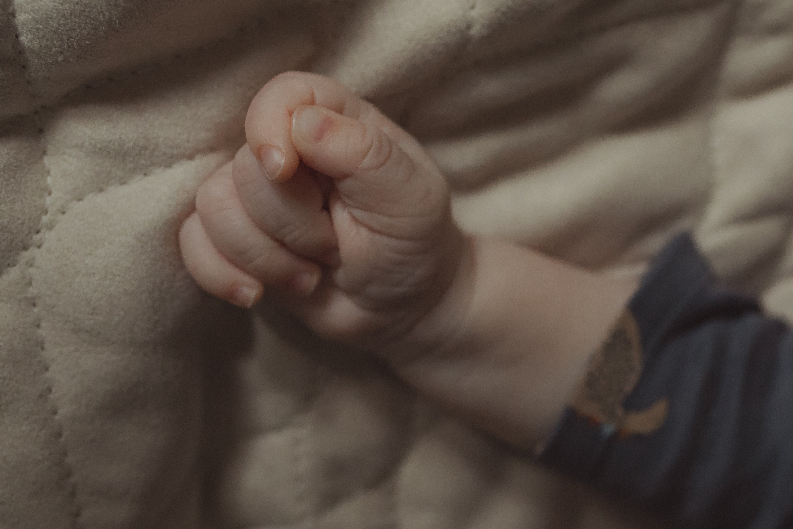 Матвей. Семейный и домашний фотограф в Москве и МО Королева Валерия