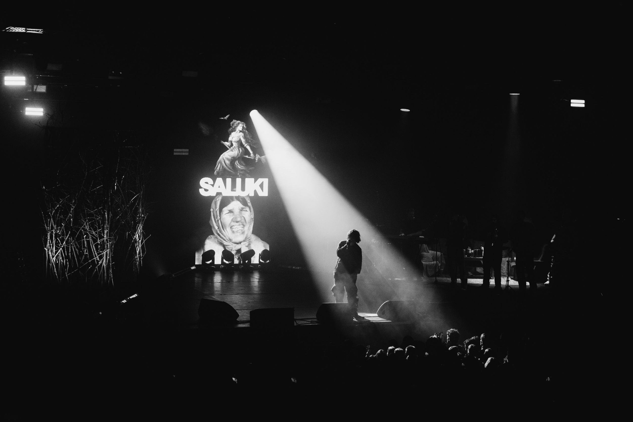 SALUKI’23. RUSLAN ROZANOV