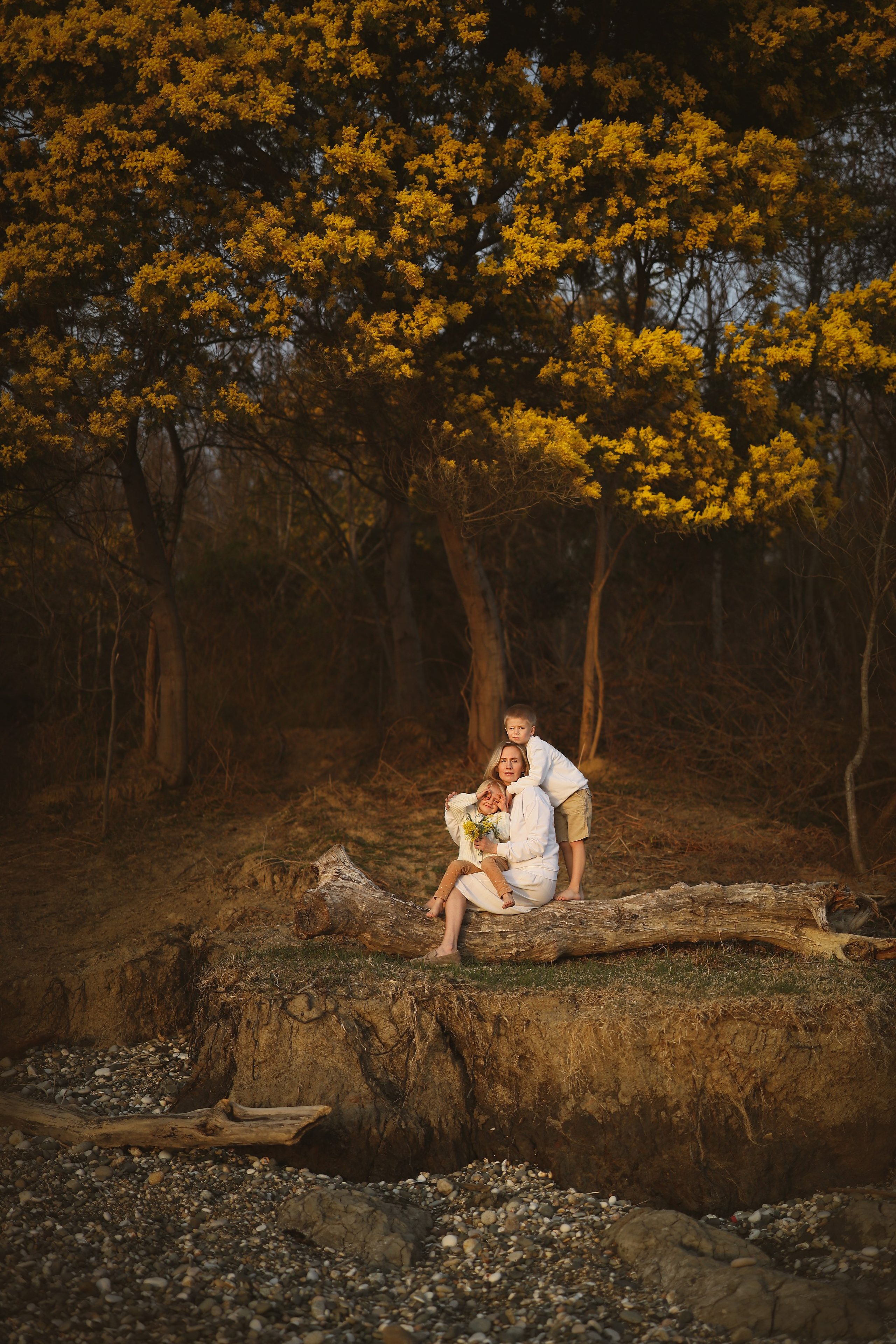 семейная Фотосессия среди мимозы в Абхазии