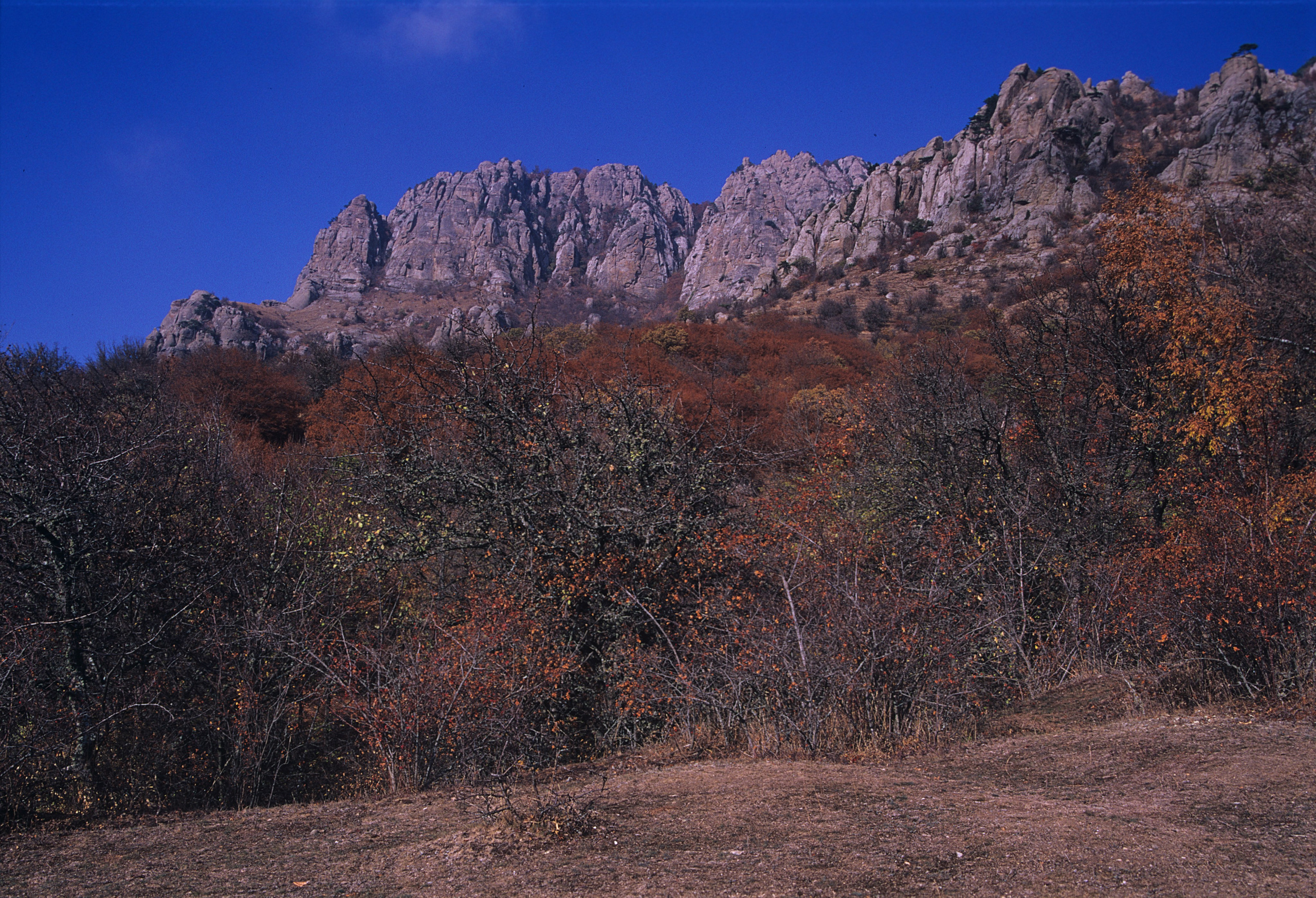 Горы и море. Фотограф в Санкт-Петербурге Березовский Даниил