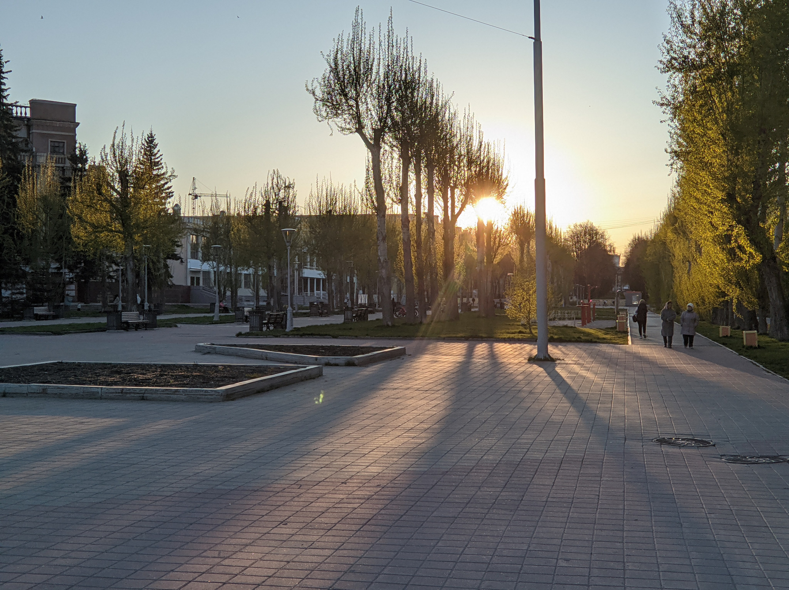Солнечный. Фотограф в Санкт-Петербурге Березовский Даниил