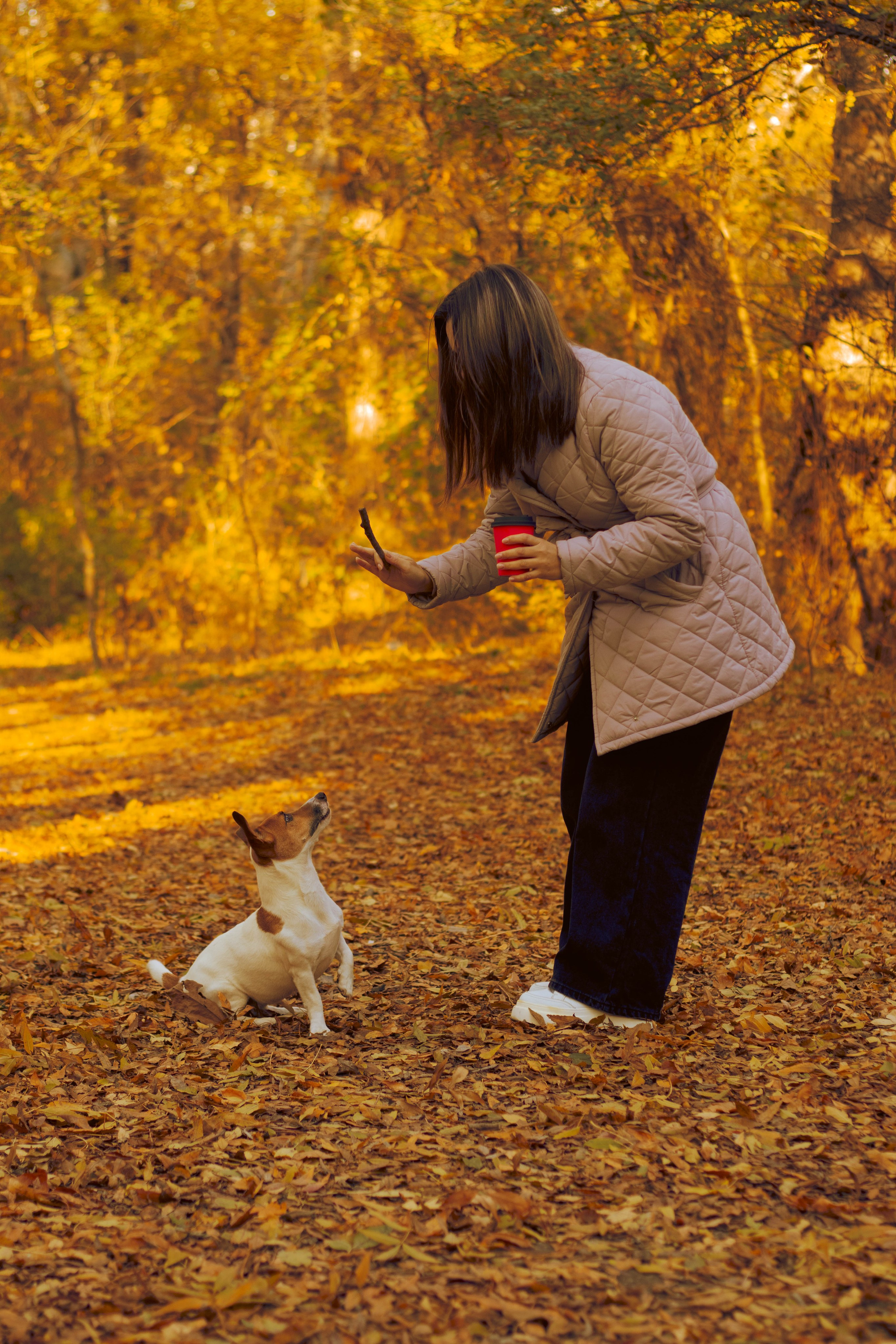 «Тепло осени: уютные кадры с природой». Уличный фотограф Города N