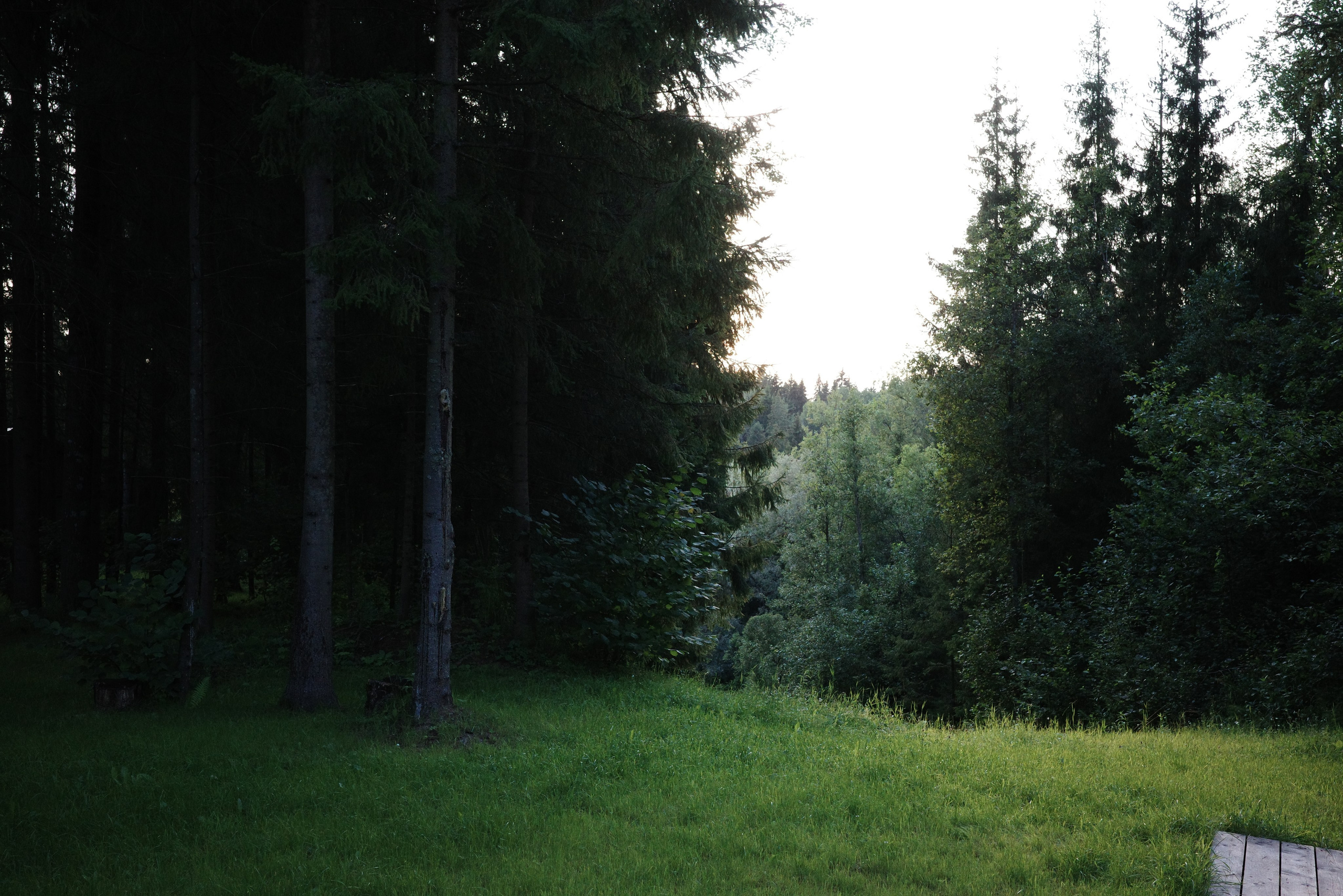 #41: Пересвет / август 2025. Проект «Фотокладовка»: блог уличной фотографии в формате street photo