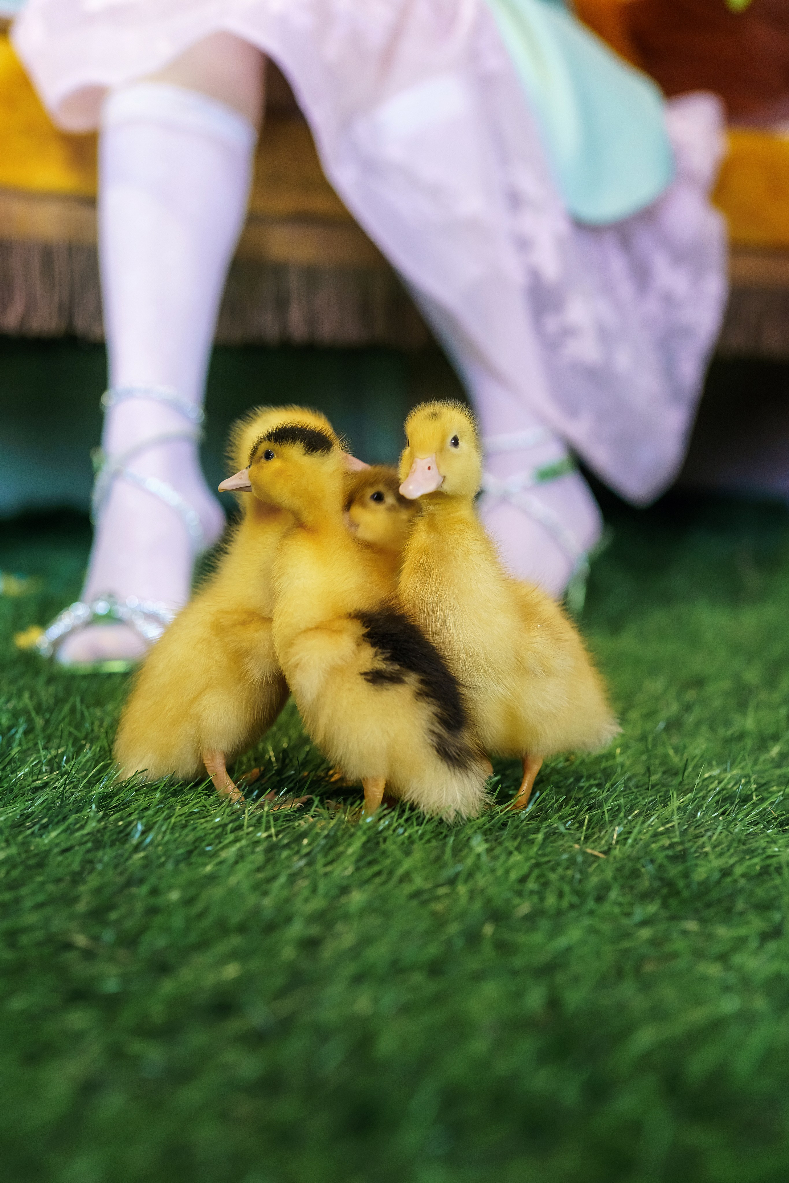 . Фотограф в Москве и Одинцово