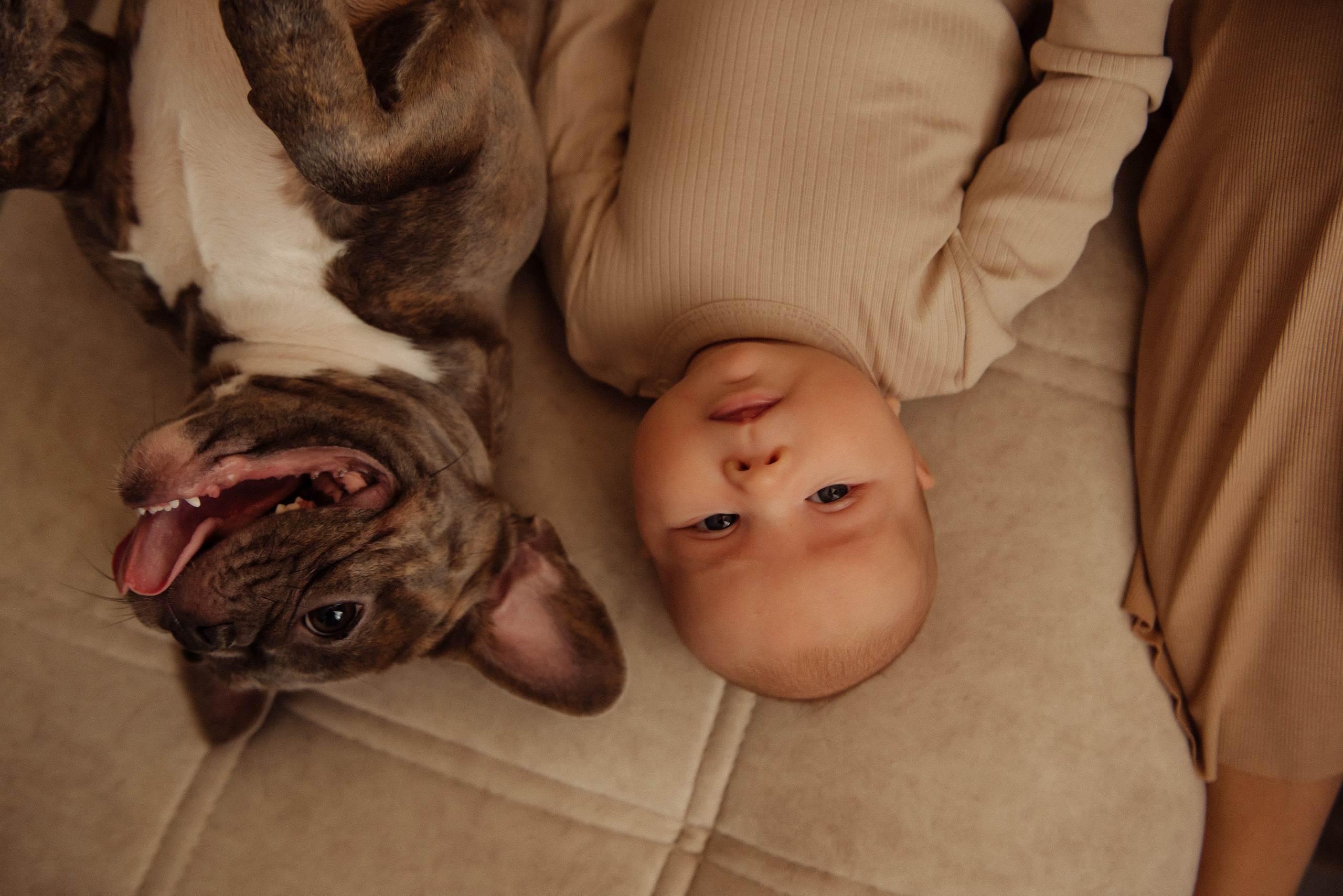 Катя. Свадебный, портретный, фотограф беременности в Нижнем Новгороде Алина Зиновьева