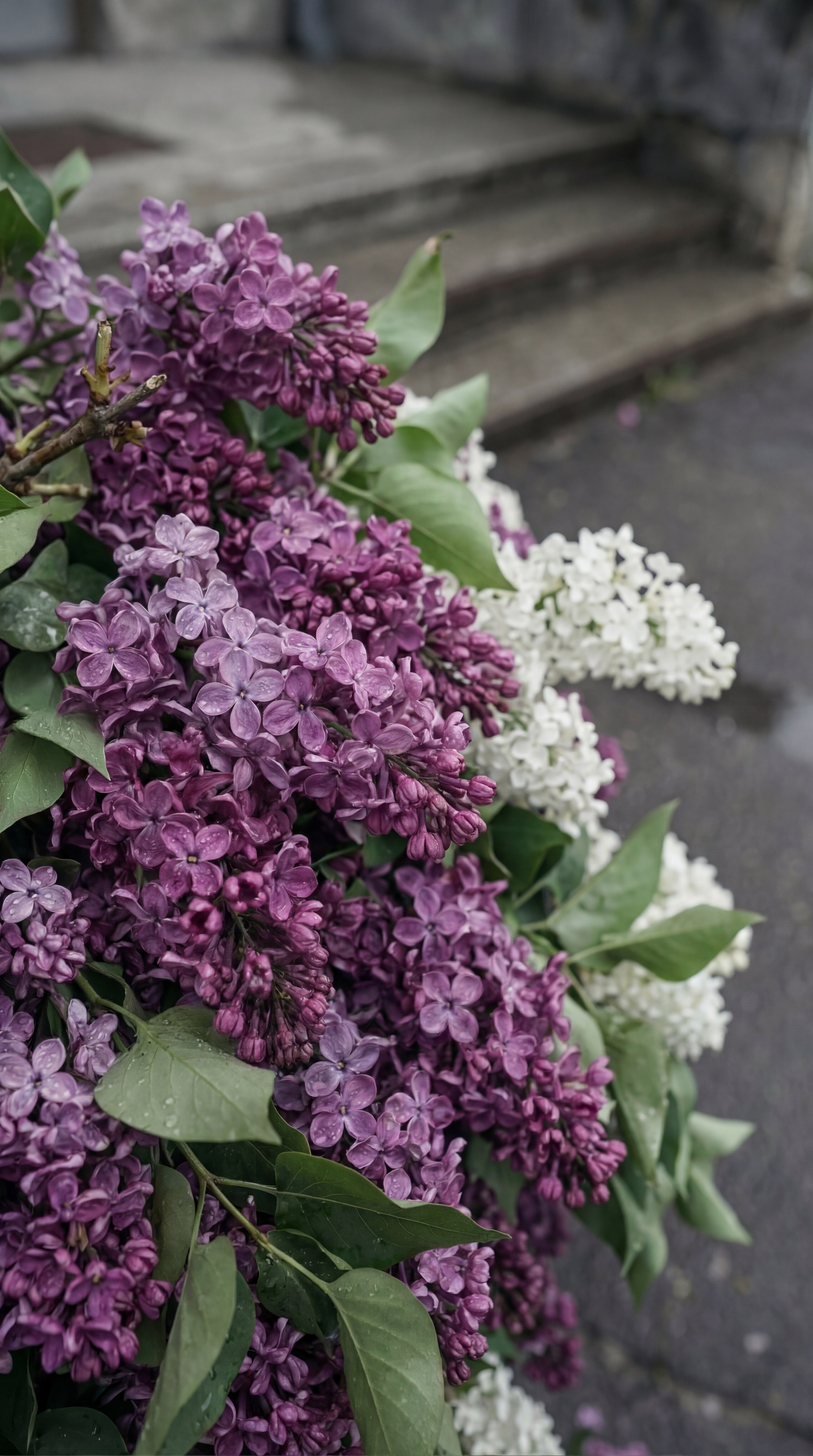 AI-атмосферное фото девушки с белыми цветами в тёмной оранжерее, нейро-контент для fashion-бренда, AI-визуал мистическая съёмка в оранжерее