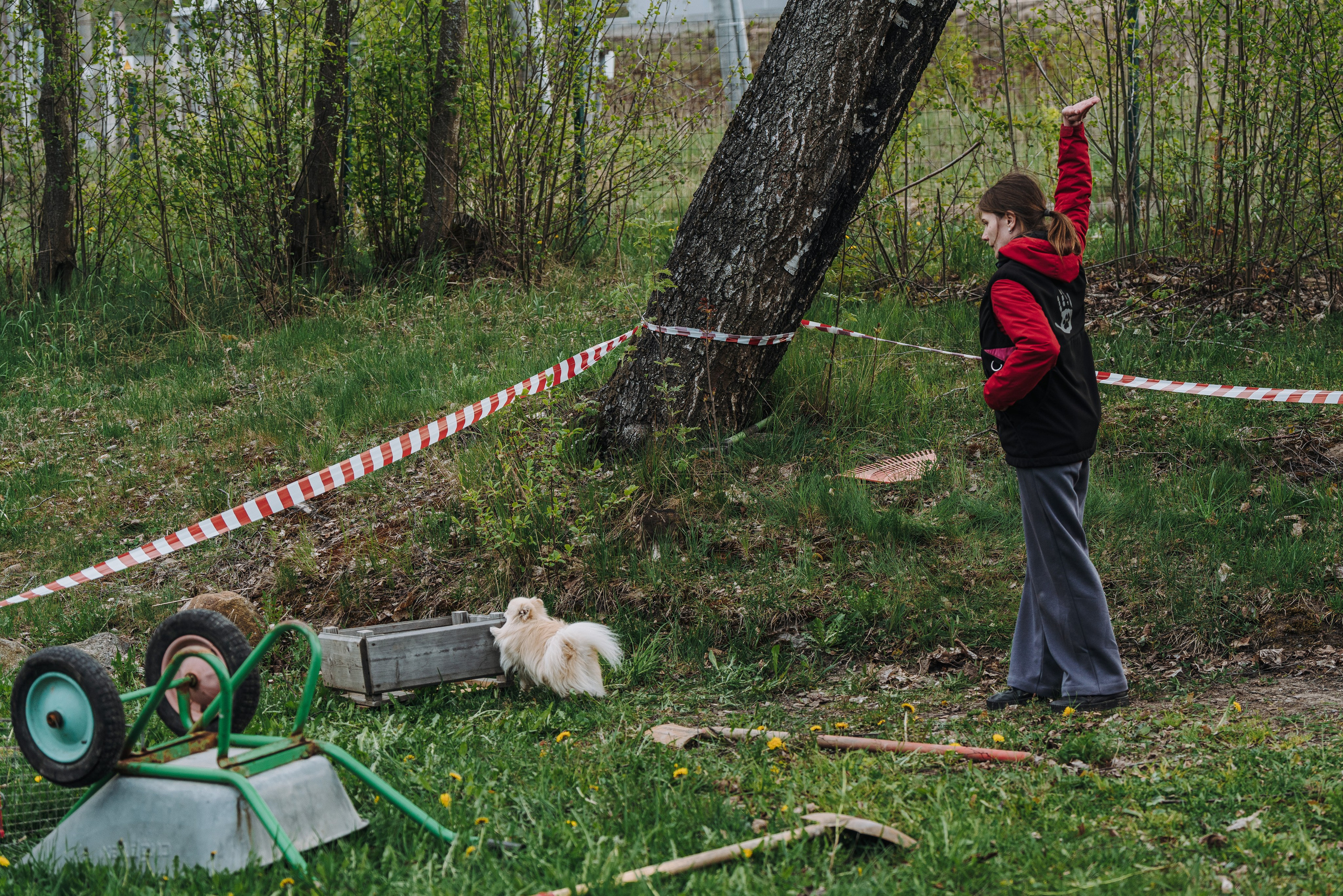 Соревнования по ноузворку в Лосево. Фотограф анималист в Спб недорого Олеся Майорова