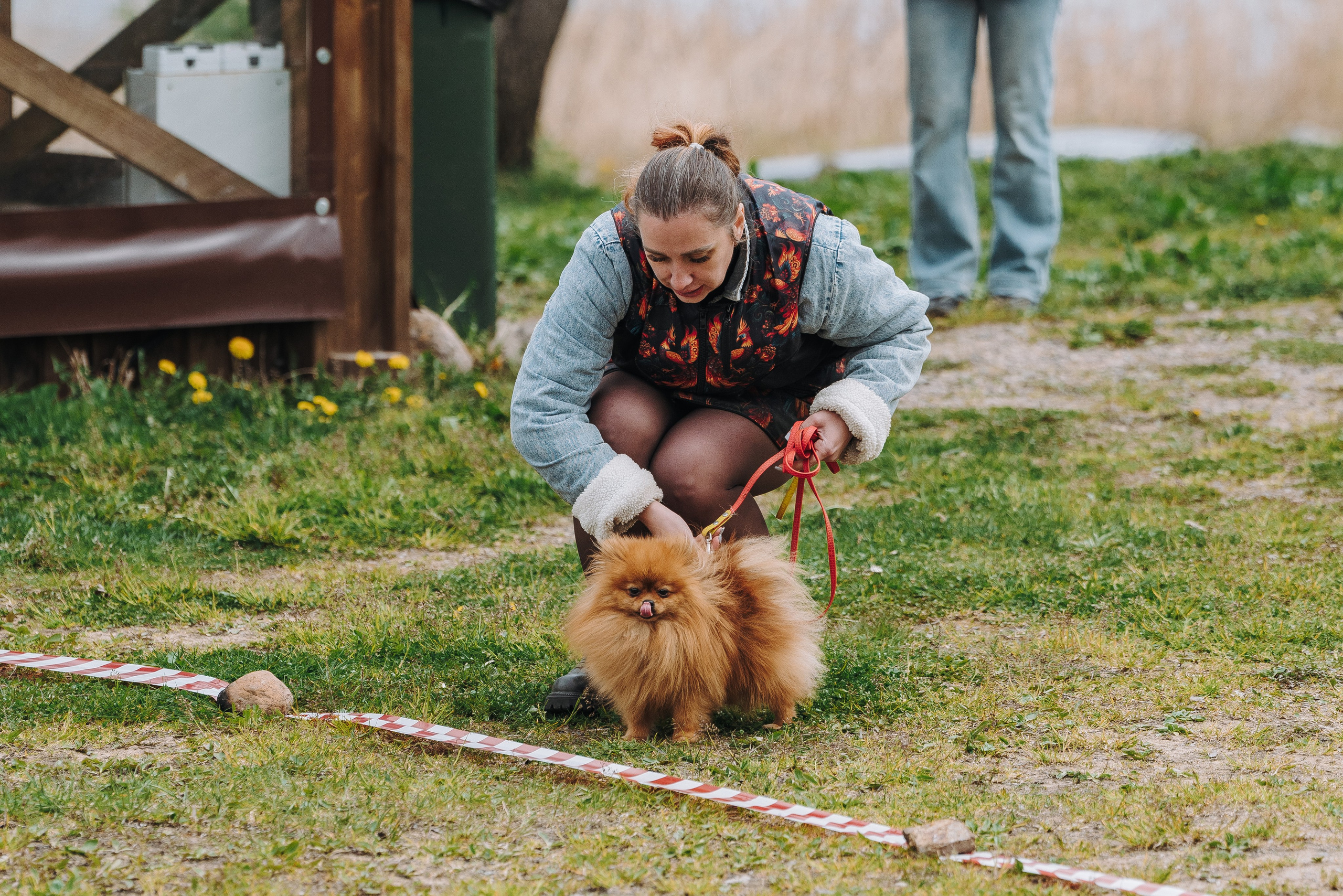 Соревнования по ноузворку в Лосево. Фотограф анималист в Спб недорого Олеся Майорова
