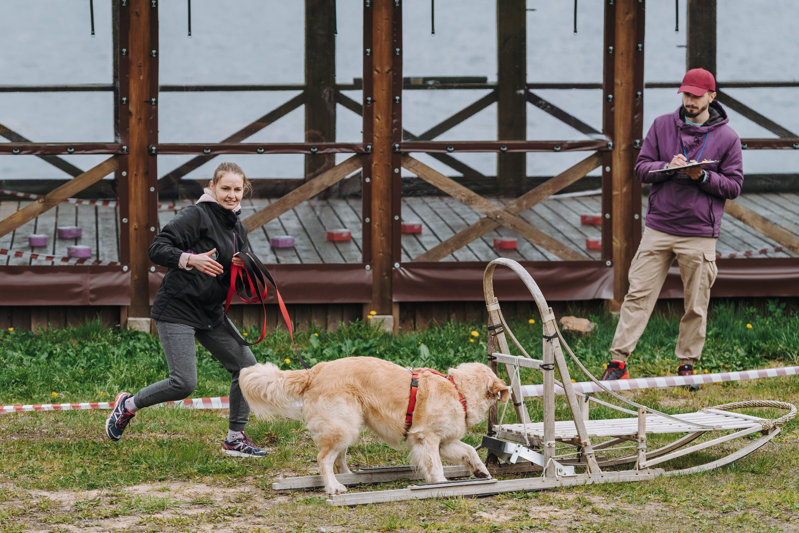 Соревнования по ноузворку в Лосево. Фотограф анималист в Спб недорого Олеся Майорова