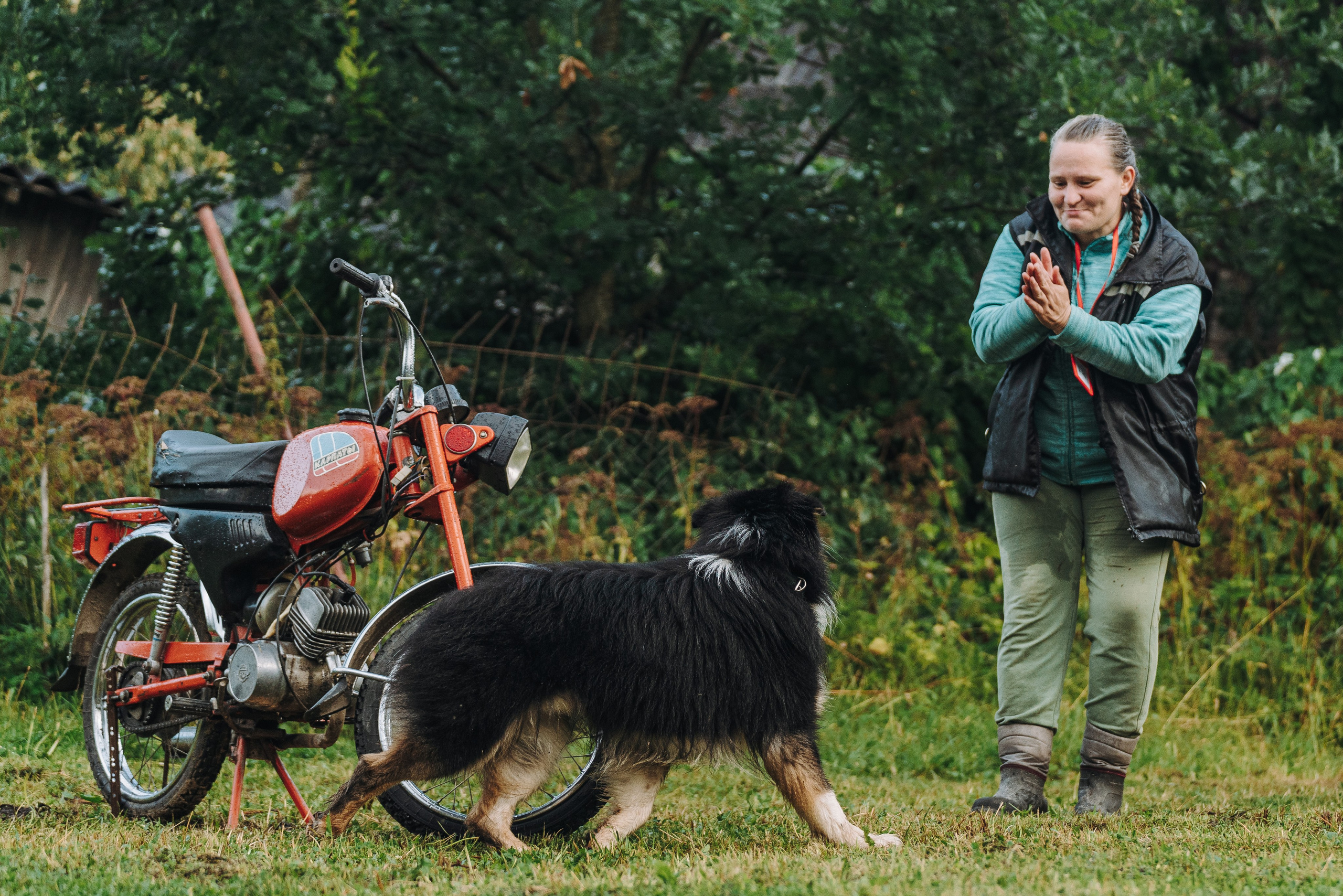 Соревнования по ноузворку в Новожилово. Фотограф анималист в Спб недорого Олеся Майорова