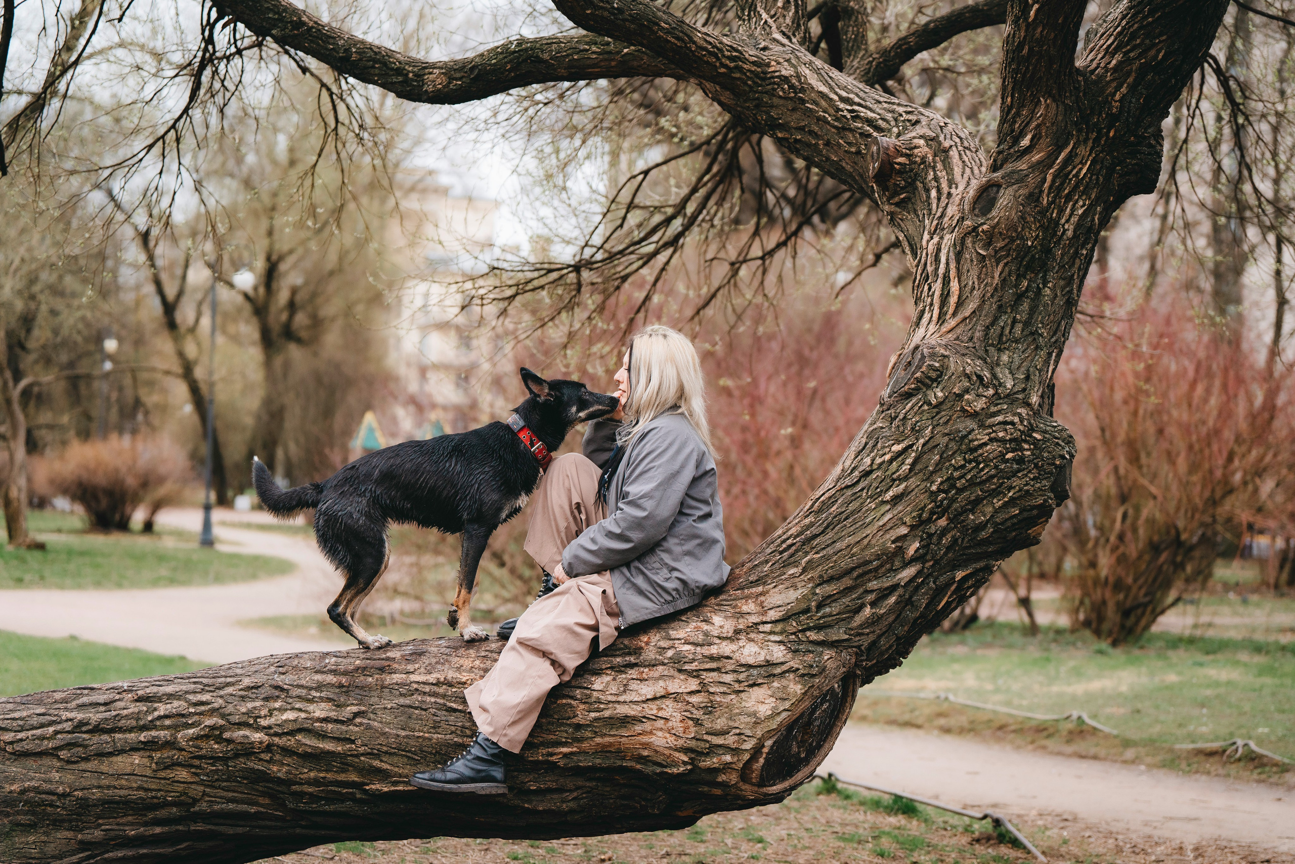 Эля и Шиза. Фотограф анималист в Спб недорого Олеся Майорова