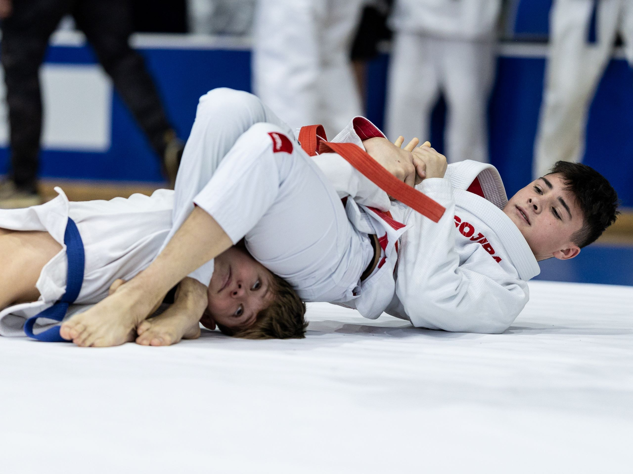Единоборства. Спортивный фотограф Фёдоров Александр