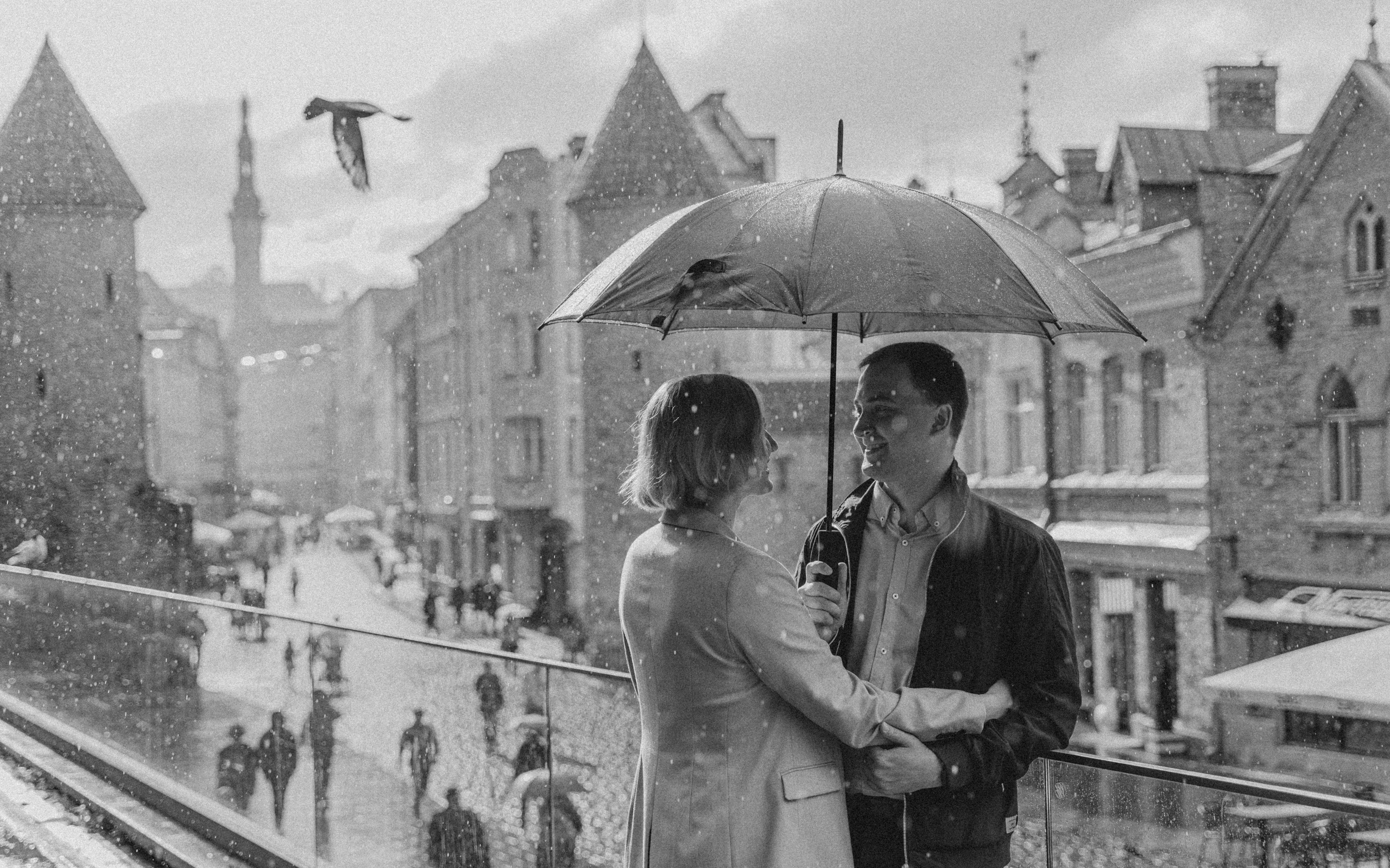 Летний дождь и любовь. Фотограф в Мельбурне Анастасия Перова