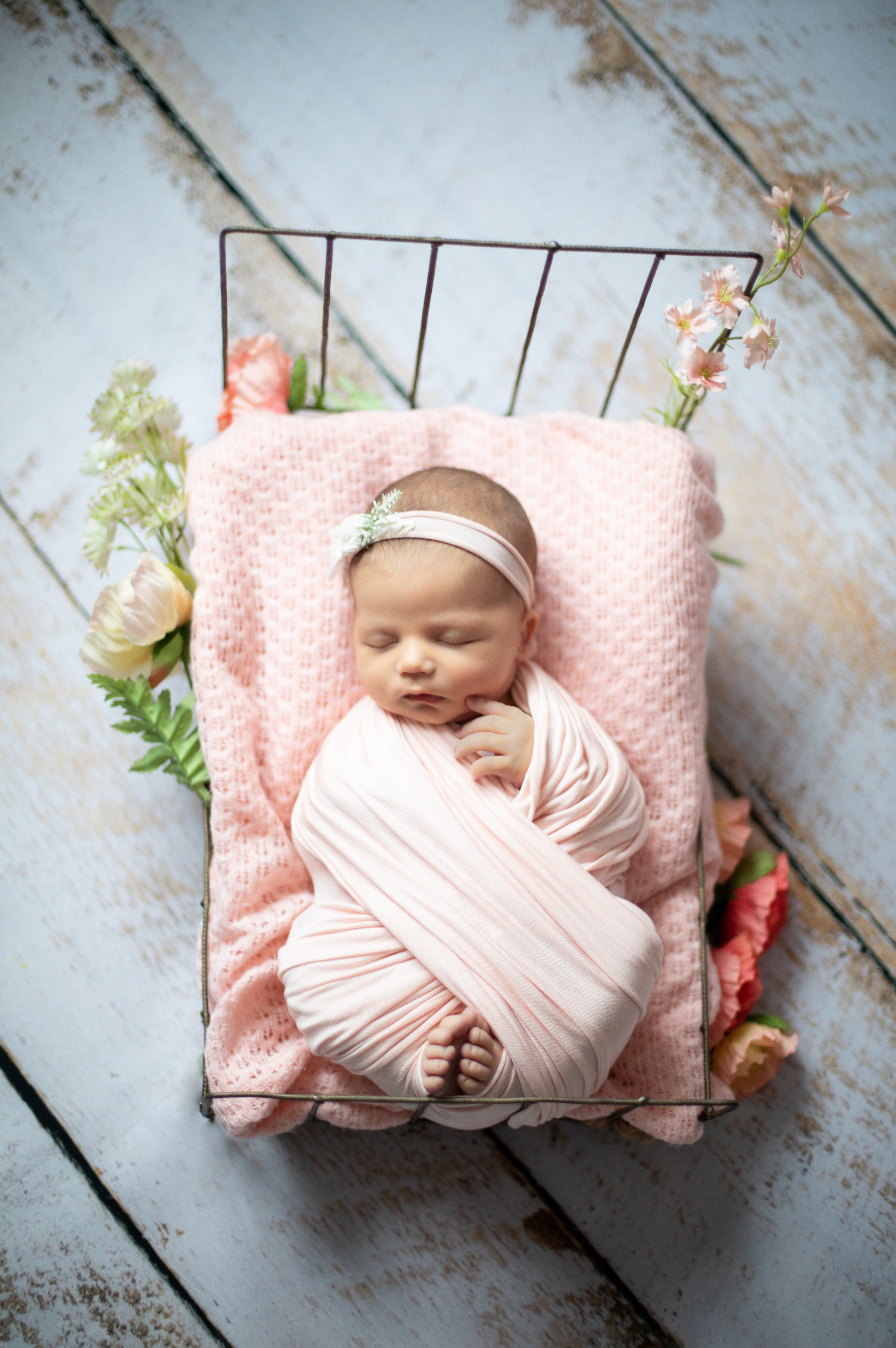 София, 12 дней. Фотограф новорожденных в Нижнем Новгороде Белякова Оксана