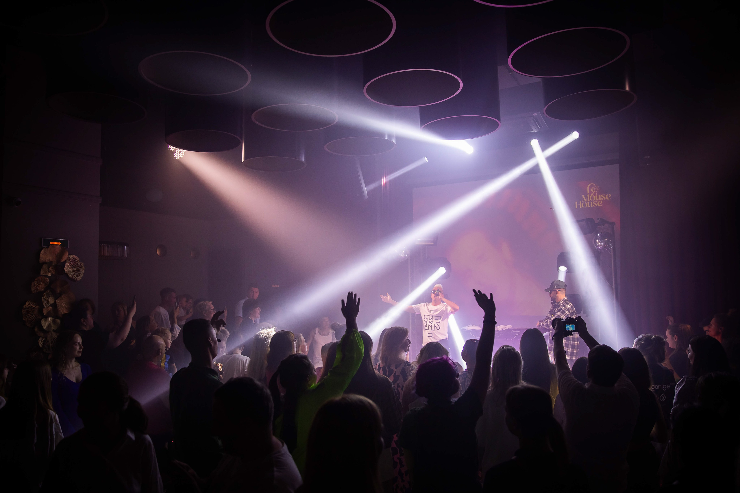 Отпетые мошенники в Mouse House. NesterovaMaria.ru