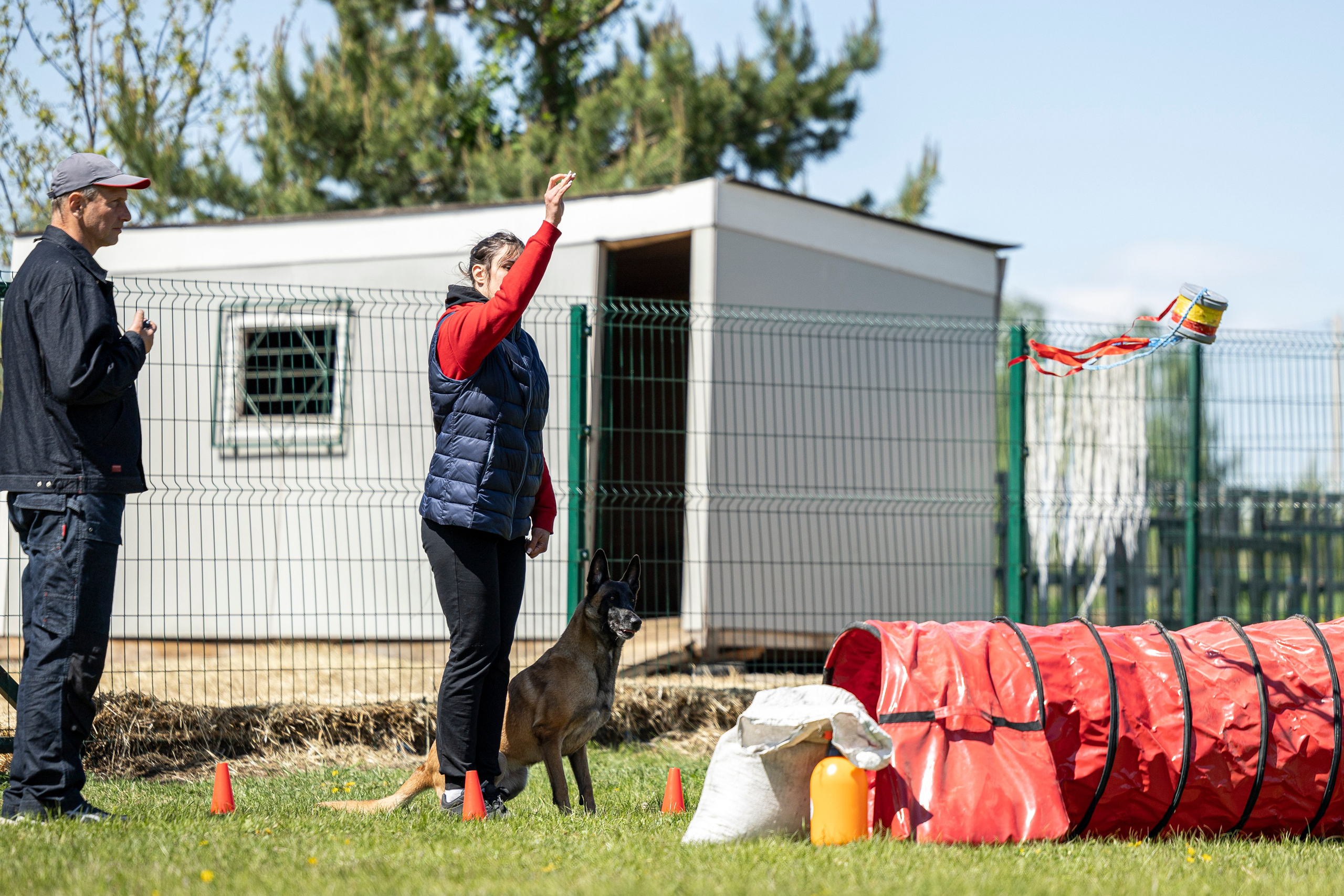 Испытания по мондьорингу в Нижнем Новгороде. Фотограф-анималист Анна Маринич