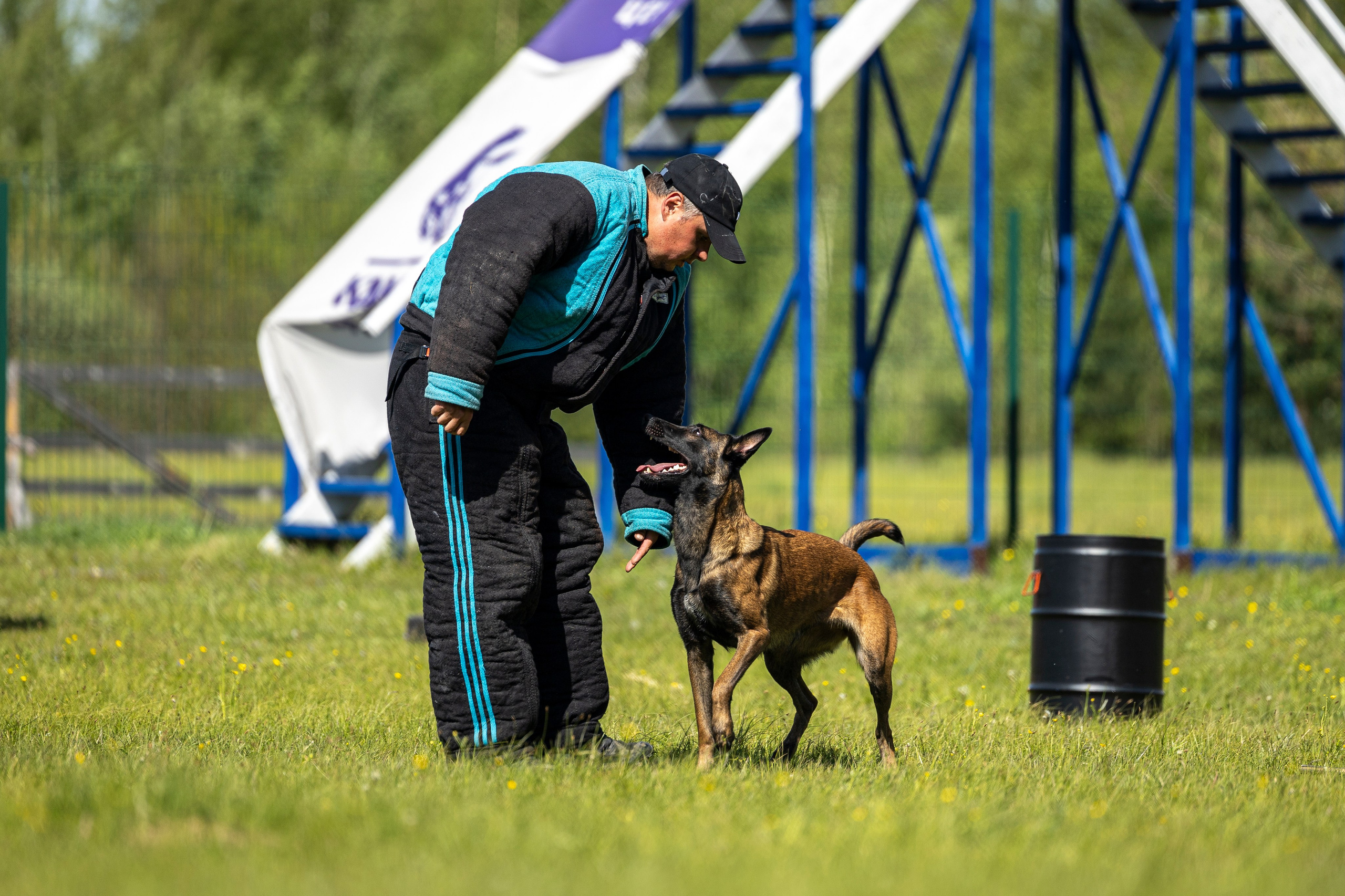 Испытания по мондьорингу в Нижнем Новгороде. Фотограф-анималист Анна Маринич