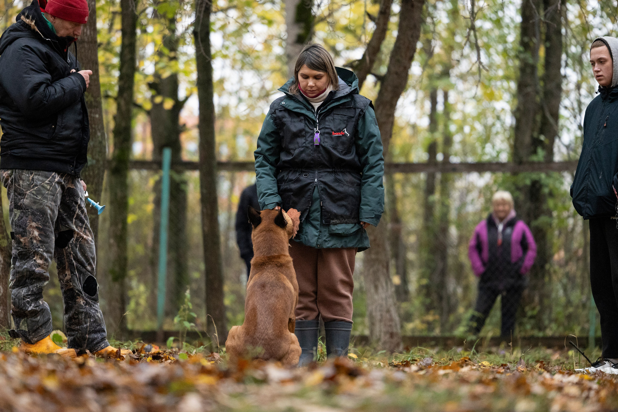 Соревнования по Мондьорингу г. Вологда. Фотограф-анималист Анна Маринич