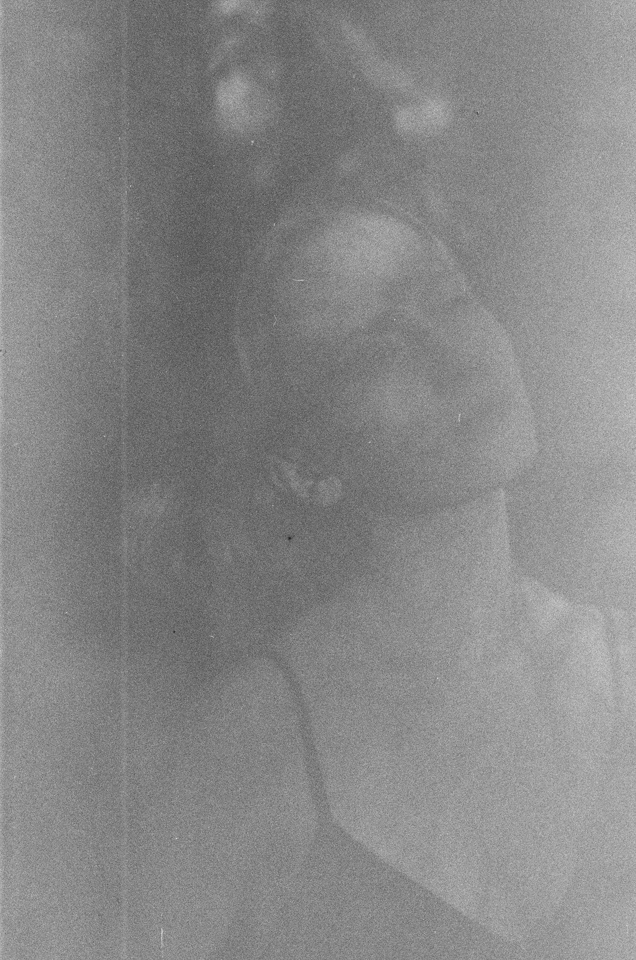 Настя. Творческий фотограф в Москве Наталья Ермолова