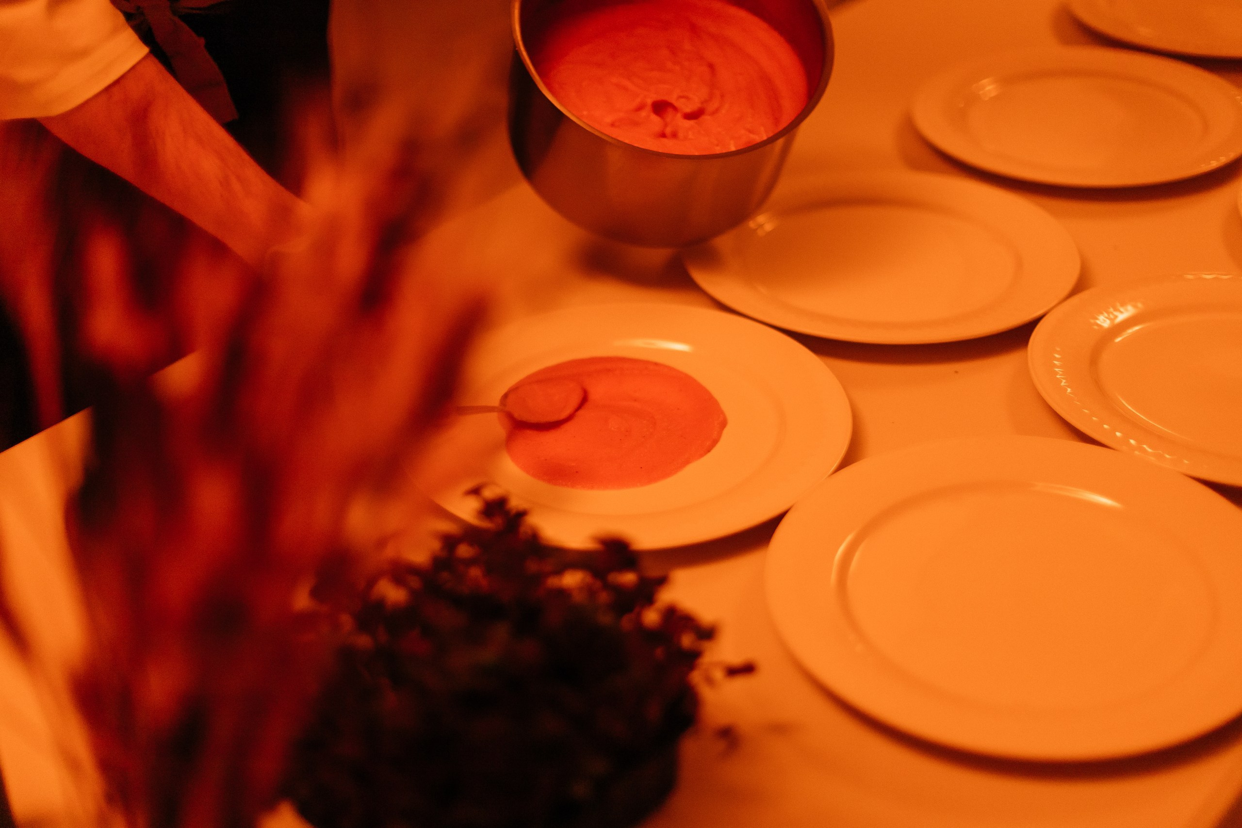 С днем рождения, Анастасия!. Свадебный и репортажный фотограф в Новосибирске Федор Гладков