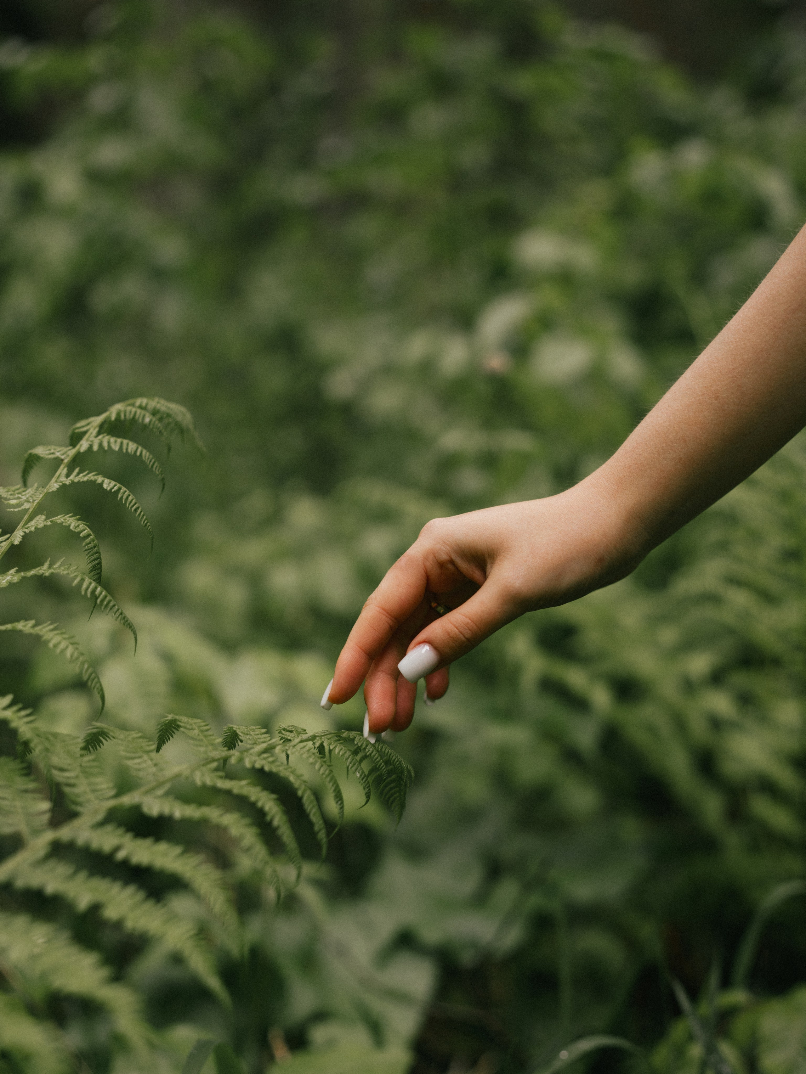 Съемка Love story (лавстори) Кирилла и Кристины. Свадебный фотограф Ирина Беляева Пятигорск|Кисловодск|Эльбрус|Домбай