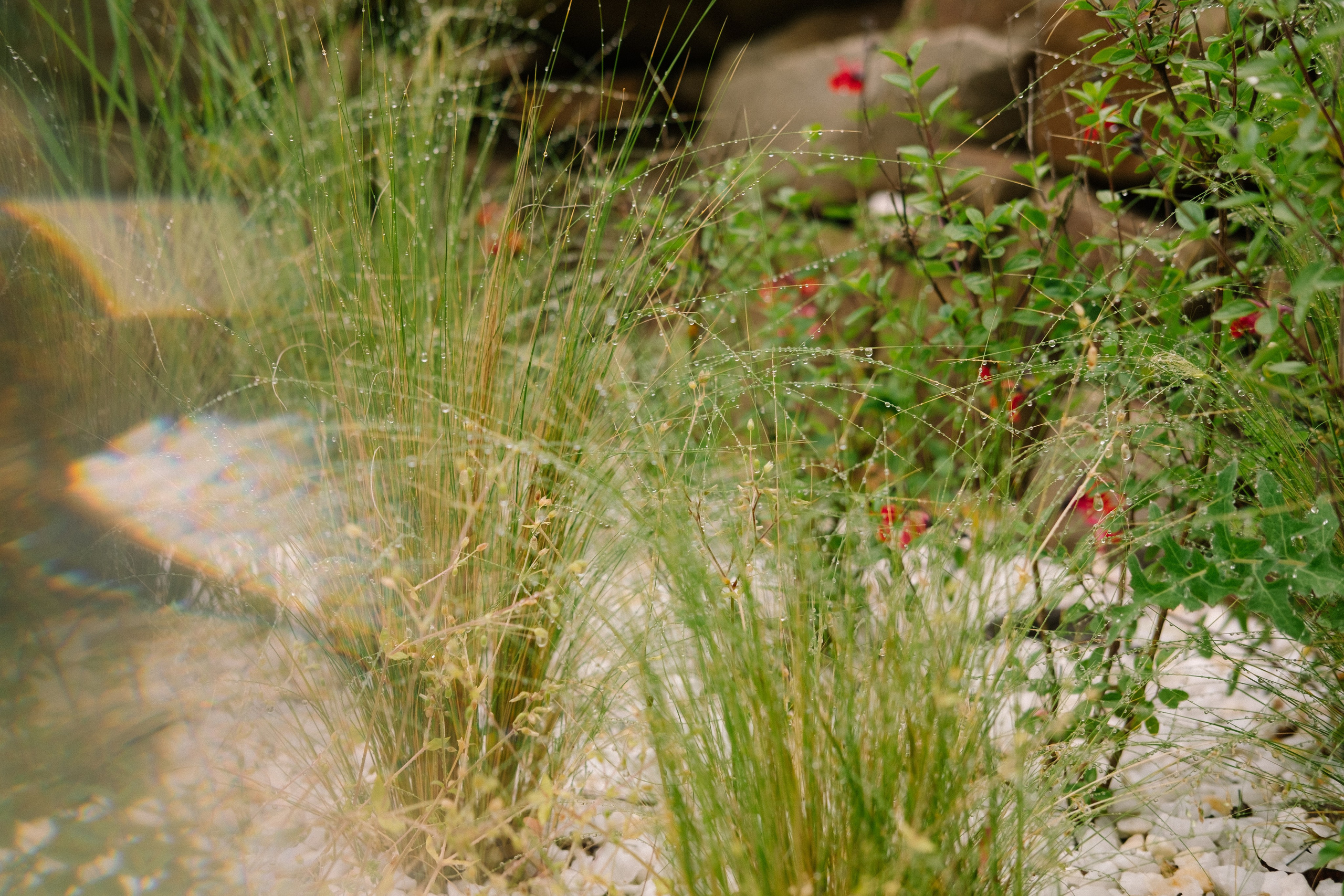 Девичник в Шепси. Фотограф в Анапе и Краснодаре Тина