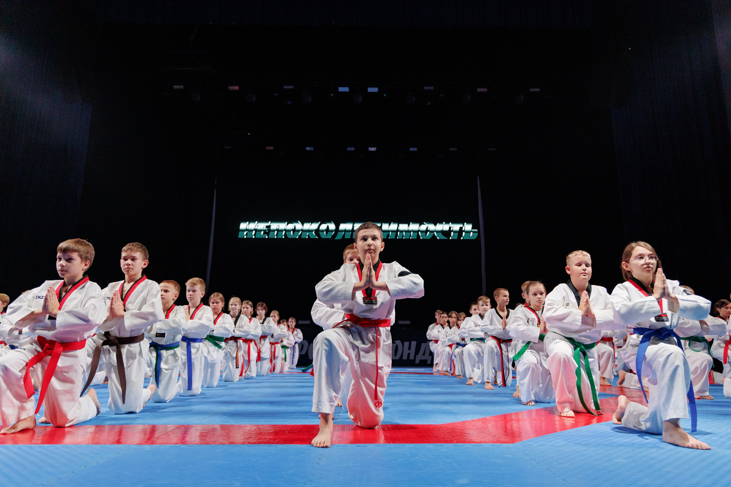 ПроТхэквондо Тур | Финальный этап