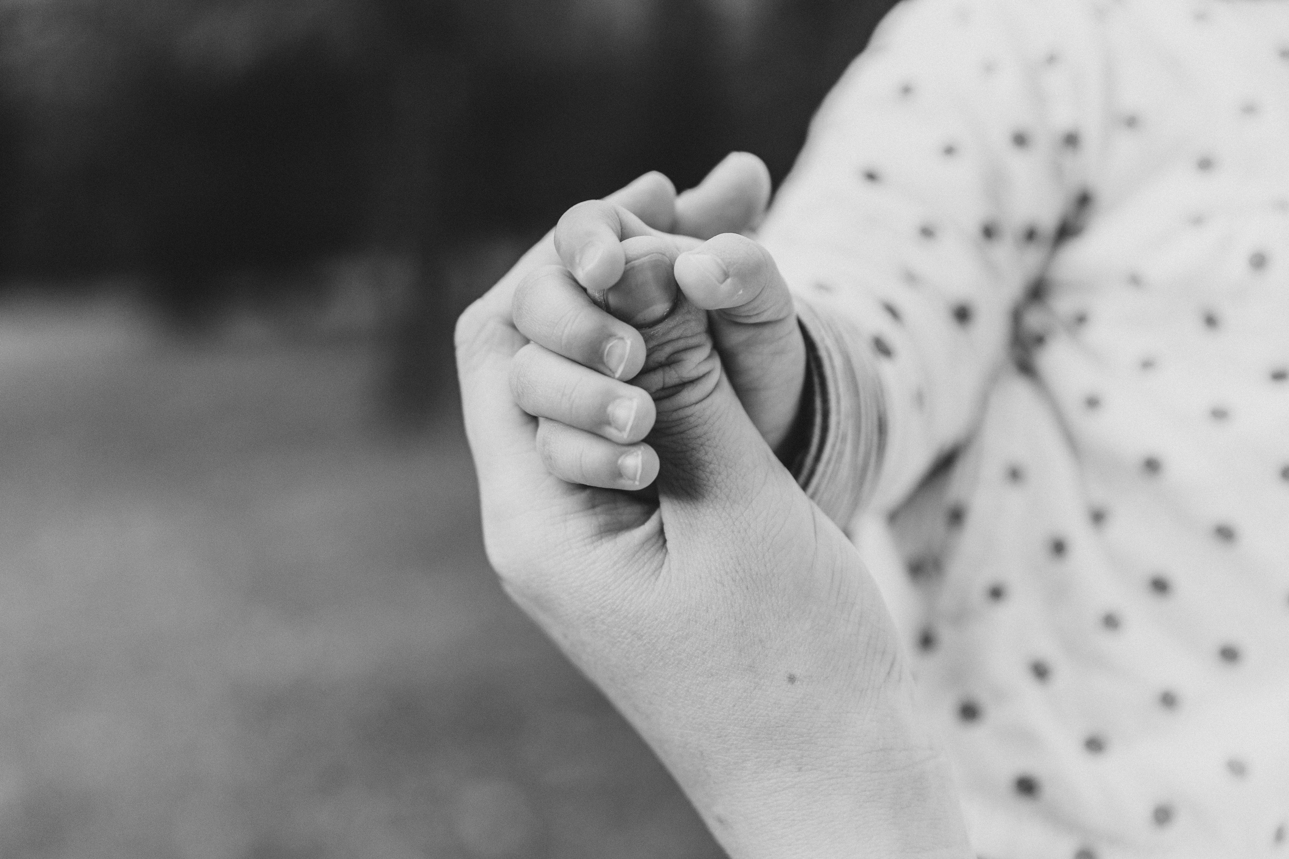 Аня, Вера, Кира и мама. Фотограф-анималист в Москве Соломонова Варвара