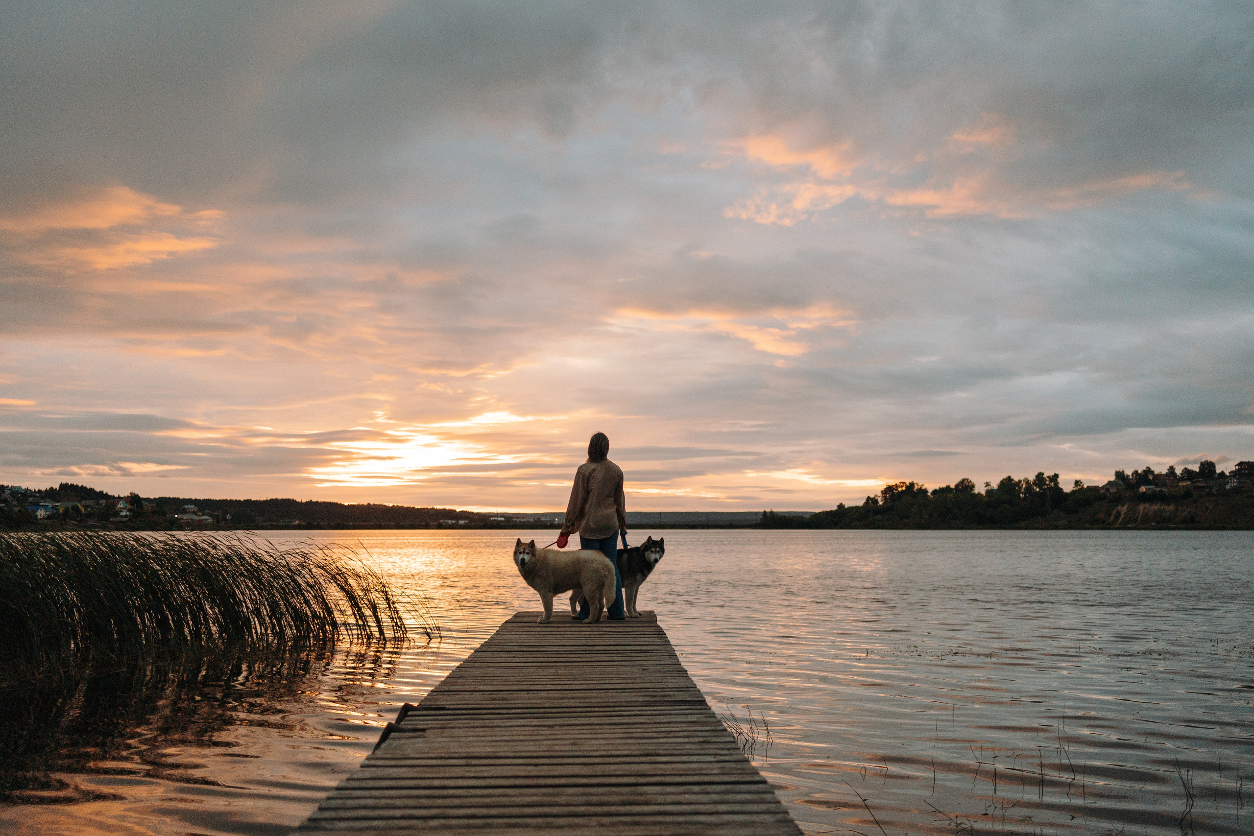 Дом у реки. Фотограф — Анималист | Санкт-Петербург